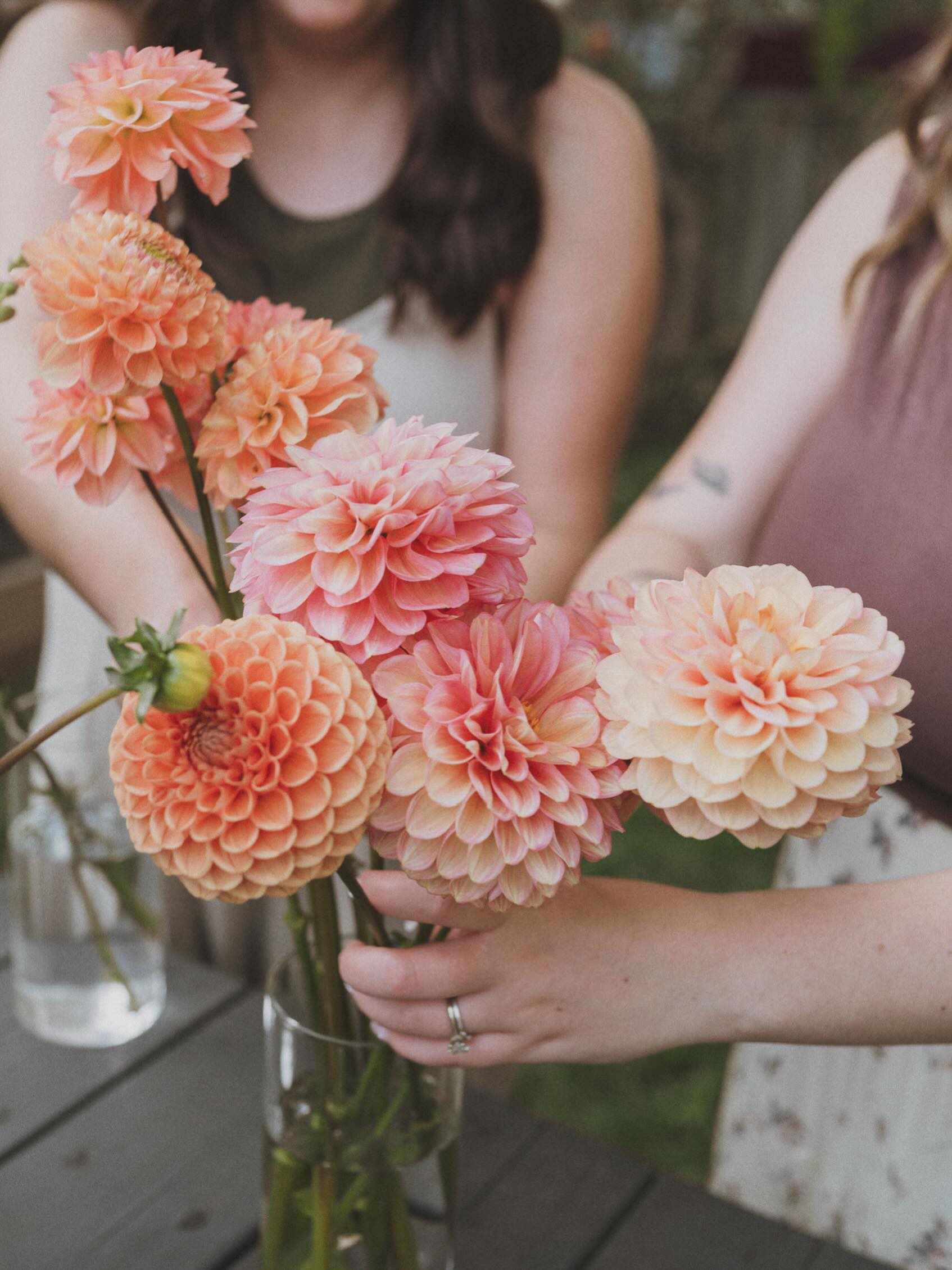Our next tuber sale is coming up 🌸
Mark your calendars for Saturday May 9th at 10am!
We have more tubers sprouting and we’re ready to share them with you all! All varieties are on our site and will show as sold out until Saturday. Tuber pick up available Sunday, perfect for a last minute Mother’s Day gift, and several days the following week. Start making your wishlists!