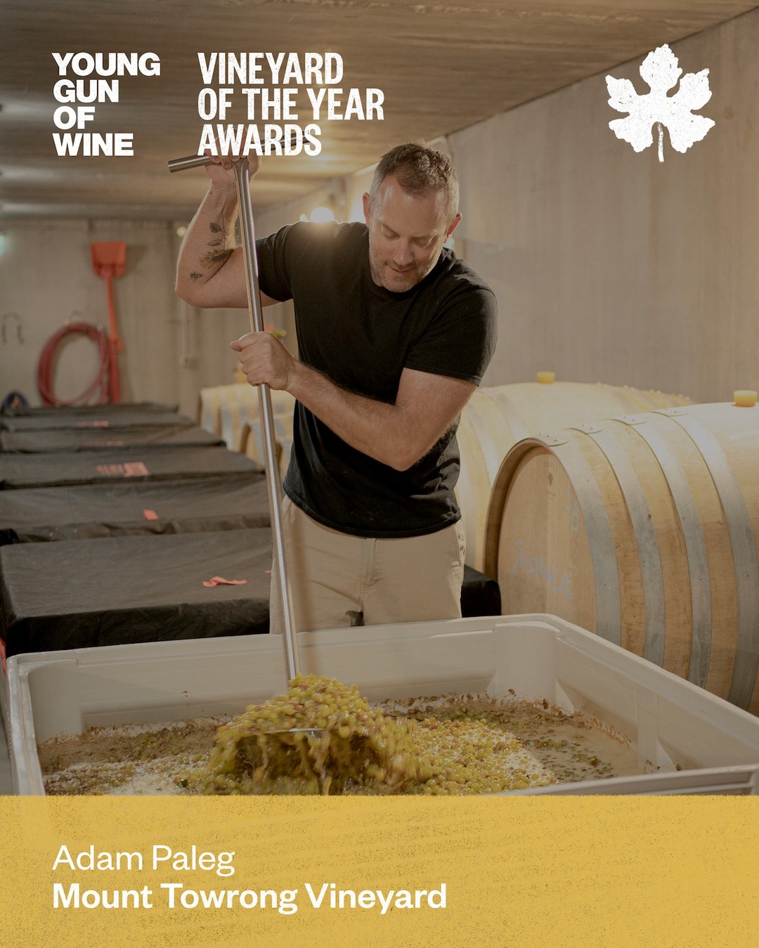 We're proud to share that Adam Paleg and Mount Towrong Vineyard have been named as finalists in the 6th Annual Young Gun of Wine Vineyard of the Year Awards - recognised among 45 of the finest winegrowers in Australia.
@younggunofwine published a full editorial profile on the vineyard this week, covering everything from the terraced design inspired by George's Venetian heritage, to Adam's minimal pruning breakthrough with Nebbiolo that increased bunch numbers by 400%, to over a decade of farming without irrigation, herbicides or pesticides.
As Adam puts it: "The viticulture of this region is true cool climate farming - varieties native to northern Italy and the cooler areas of France, Austria and Germany should all work well in the Macedon Ranges."
Trophy winners are announced in June 2026. The full profile is via their website - it's a genuinely interesting read.
#mounttowrong #macedonranges #macedonrangeswine #younggunofwine #vineyardoftheyear