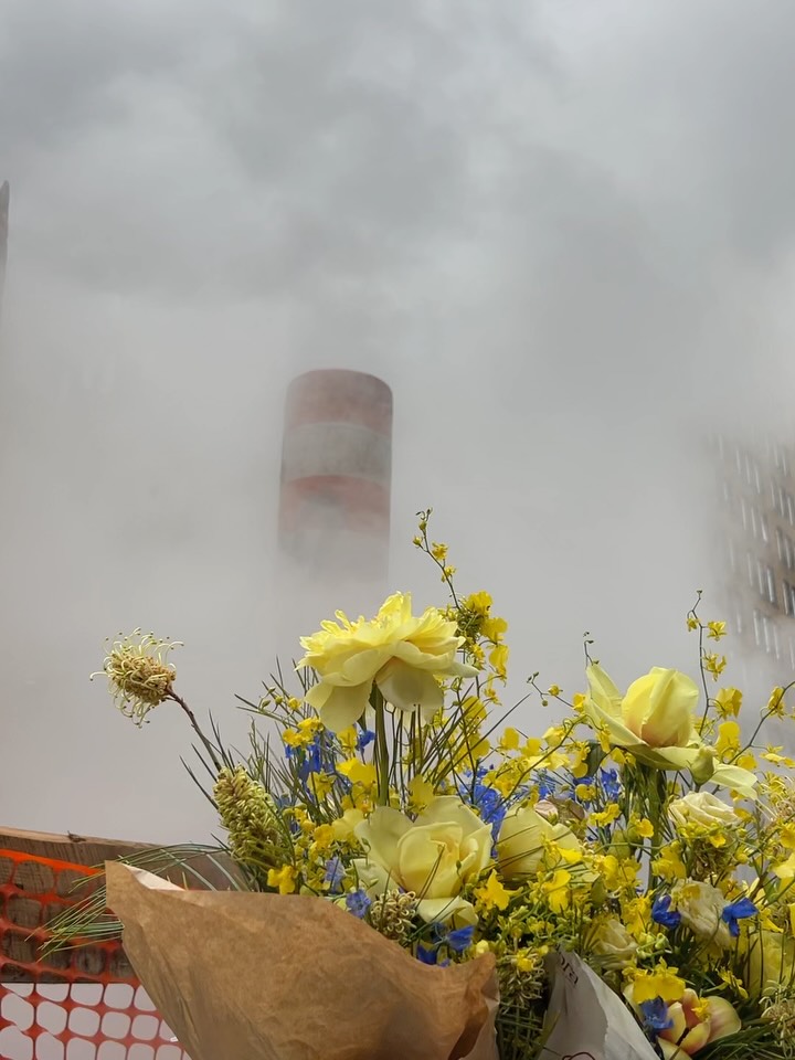 nyc really bringing the drama this morning 😶🌫️
🌼 special delivery for @teamhappily 🌼