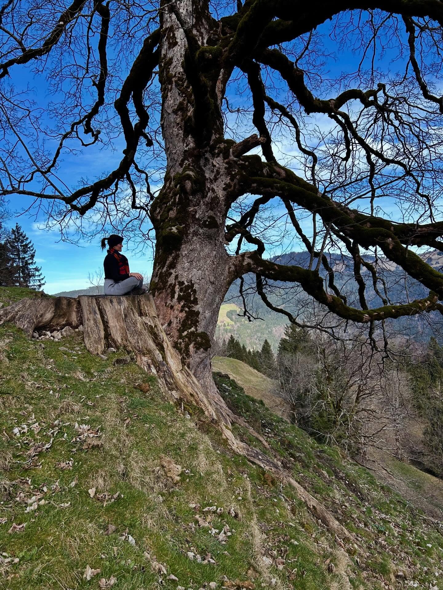March 2024 🤍🌳
When I arrived in Dornbirn two years ago, I didn’t expect to fall in love with a tree… but I did. 🙈
Since then, I’ve come back to it again and again during hikes around the Karren, Schuttannen, and the Staufenalpe. Every season, a different mood. Every time, the same quiet magic.
There’s something about Nature. When I’m close to it, everything feels simpler. Calmer. The need for “more” approval and performance disappears.
At Le Studio in Dornbirn Steinebach, we’re lucky to practice surrounded by trees and forests, listening to the river and the birds. It changes the yoga experience. It connects you to the beauty within yourself and within everything around you.
This tree reminds me:
You don’t need more.
You are enough.
And like the seasons, you’re allowed to change — again and again — while staying true, authentic, strong, and deeply rooted. 🌿✨
I’ll see you on the mat or for a hike soon! 🥾😉