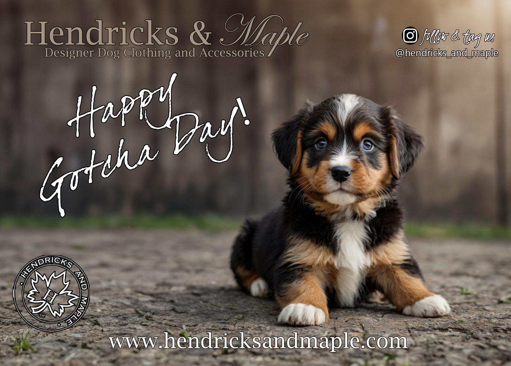 Still here? Good. Because this is the rest of the range and it does not disappoint. 🐾
A card for every sentiment. A design for every dog who has ever made your life infinitely better just by existing.
🐾 With Love — a Border Collie holding a heart. For the people and pets who mean absolutely everything.
🐾 A Gift for You — a Dachshund puppy with those ears and that expression, a West Highland Terrier in a party hat, or a red Toy Poodle sitting inside a gift box. For celebrating someone special in style.
🐾 Happy Gotcha Day — a tiny Bernese Mountain Dog puppy with the most soulful eyes, and a little Yorkie in a party hat surrounded by celebrations. Because the day they came home changed everything — and that deserves honouring every single year. 🏠❤️
A card for big dogs and small dogs. New puppies and old souls. Gotcha days. Just because. Mother's Day. Father's Day. Birthdays. Any occasion that deserves more than a text message.
Don't let anyone tell you an eGift Card isn't personal. With Hendricks & Maple it absolutely is. Purchase your postcard at the same time, give us your personalised message, and we'll hold onto it until they redeem. Their order arrives gift wrapped, personalised with your card, just as if you'd chosen it yourself. The thought was yours. The choice was theirs. The wow is guaranteed. 🎁
You choose the gift. We do the rest. They get the wow. 🍁
Give your bow — or meow — some WOW.
🍁 www.hendricksandmaple.com
#hendricksandmaple #giveyourbowsomewow #gotchaday #dogmum #dogsofaustralia