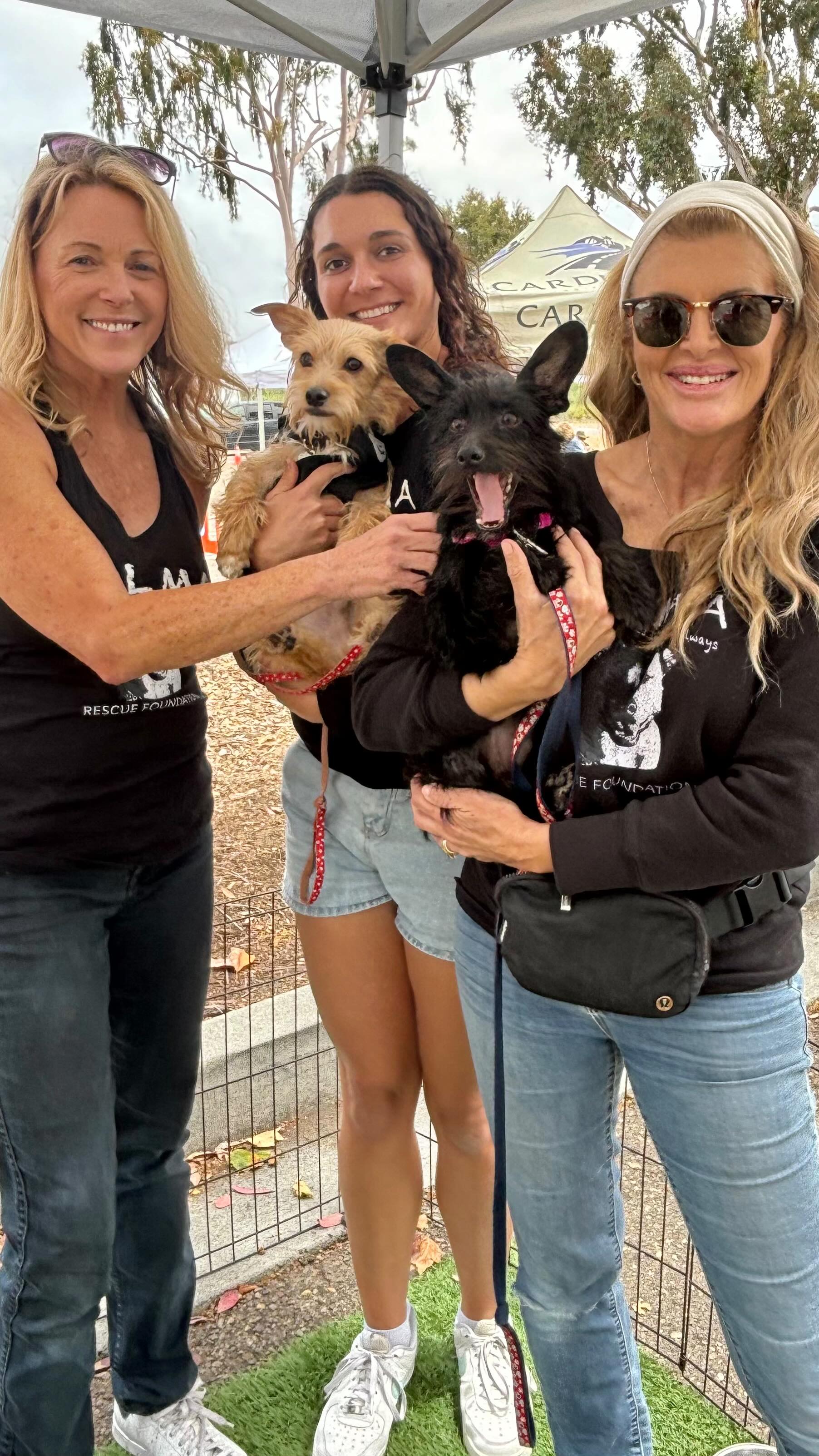 Another great Adoption Event today at the @cardiff_farmers_market ☀️
One pup adopted and 3 adorable wire haired terrier pups still available for adoption: Sherri, Nellie and Lucca
Special thanks to all of our awesome volunteers who came out to help!
Reach out to us at: www.almarescue.org if you're interested in meeting one of these cuties.
#adoptionevent #rescuedisourfavoritebreed #rescuedwithlove #smalldogsofinstagram #almarescue