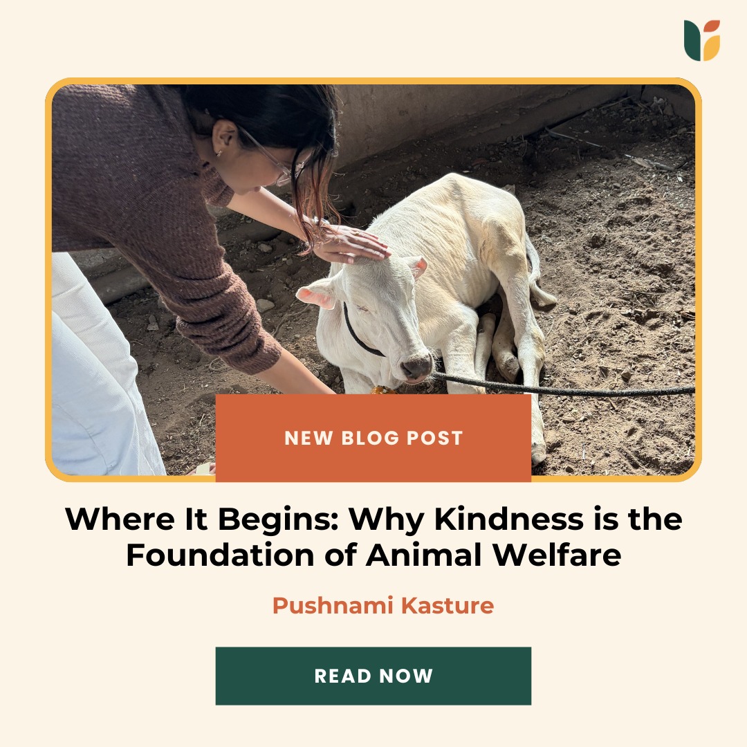Animal welfare is often understood through action.
Rescue, treatment, intervention.
But behind all of this is something far more foundational.
Our latest blog, 'Where It Begins: Why Kindness is the Foundation of Animal Welfare', reflects on kindness not as a soft idea, but as a starting point. A way of seeing animals as sentient beings, capable of feeling and experiencing the world, which is where the need for care truly begins.
Because systems, policies, and interventions often come later.
What shapes them first is how we choose to relate.
In many ways, the direction of the sector is influenced by this simple shift, from reacting to harm to recognising value.
Read the full blog here:
https://www.upadhyayafoundation.org/post/where-it-begins-why-kindness-is-the-foundation-of-animal-welfare
#AnimalWelfare #Kindness #Compassion #EcosystemThinking #Philanthropy #UpadhyayaFoundation