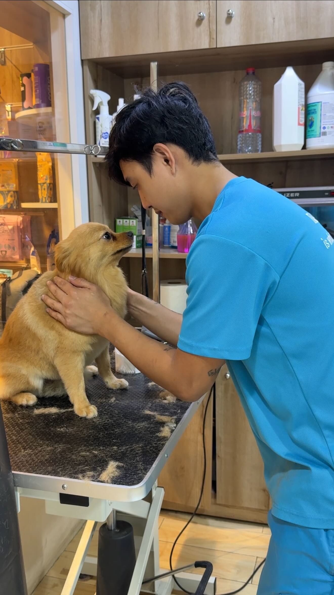 A lot of pets aren’t actually afraid of grooming, they’re just not used to it yet.
But when grooming becomes part of their routine, something shifts. They can understand what’s happening and start to trust the process.
Consistency makes all the difference 🐾 #tailwaggin #petgrooming #wagginized
