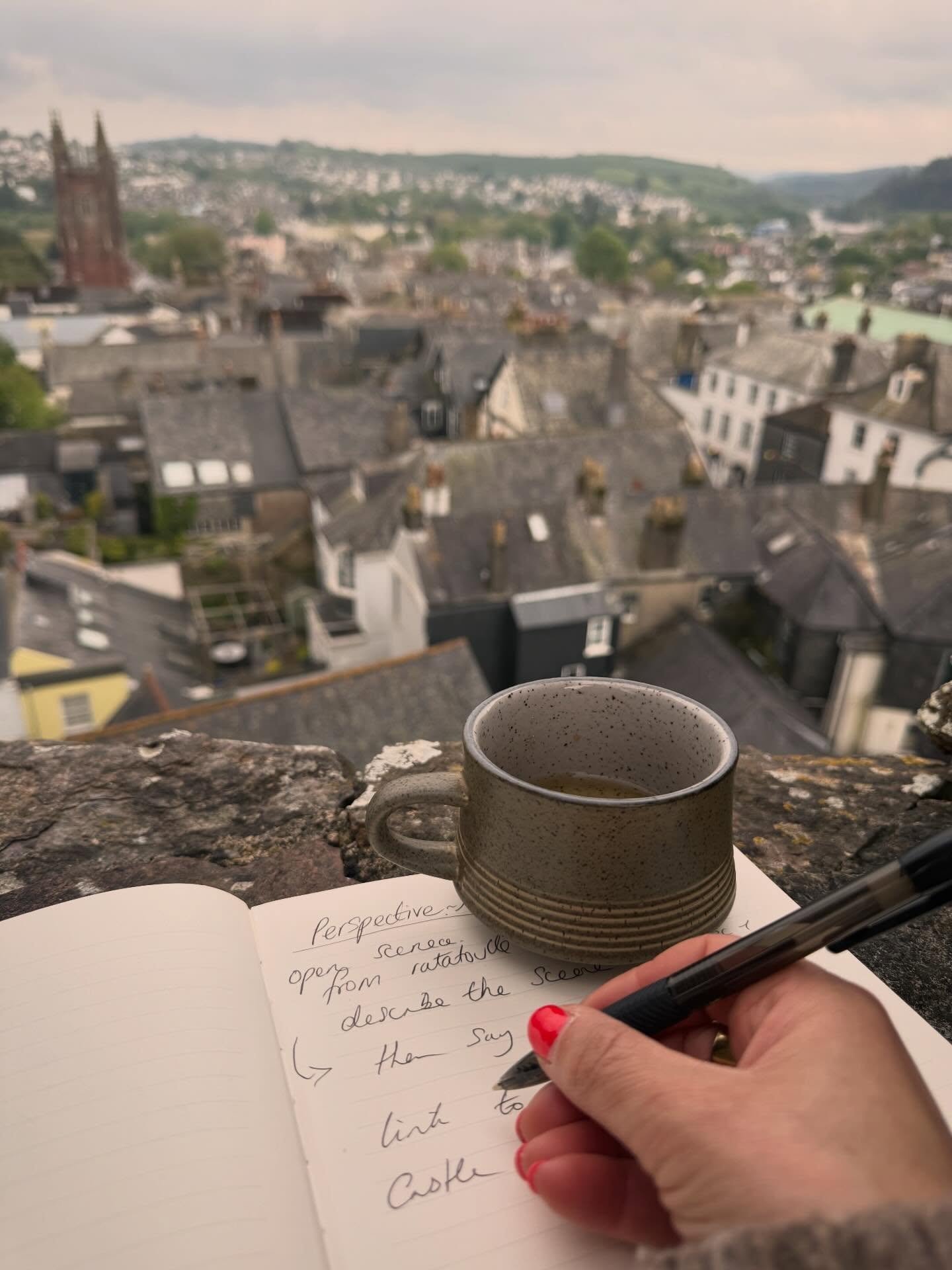 What a place to write this months edition of Restorative Matters “Fresh perspective and the space it commands“ 🙌 #totnes #birdseyeview