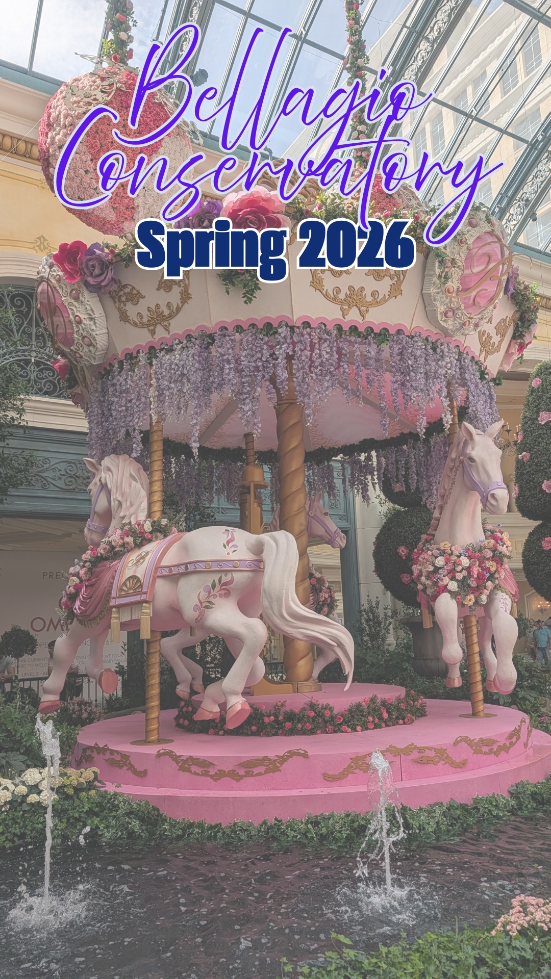 We walked through the Spring 2026 Bellagio Conservatory display and it did not disappoint. "Springtime Symphony: Music In Motion" is on display through June 6, and it's one of the more creative themes they've done in a while.
The botanical arrangements are built around a music and movement concept, with instruments, florals, and design elements that all work together without feeling overdone. The detail work up close is worth slowing down for.
If you're on the Strip this spring, it's free, it's beautiful, and it takes maybe 20 minutes. Easy stop. 🌸
#BellagioConservatory #BellagioBotanical #LasVegasTravel #VegasSpring #SpringtimeSymphony #StripLife #LasVegas #TravelReels