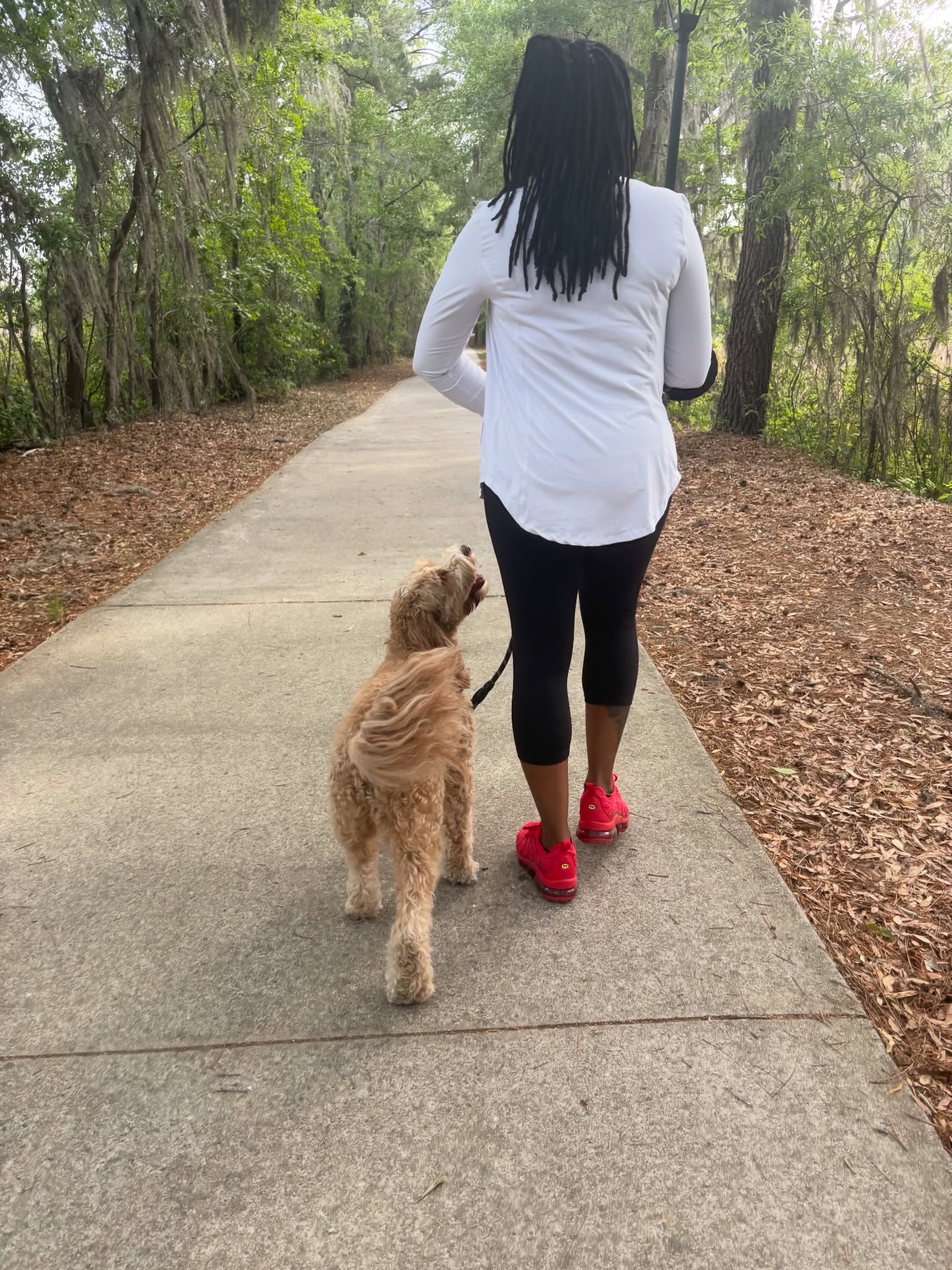 Less tension, more attention.
We couldn’t be more proud of Rudy and his mom.
Rudy was a rockstar on the leash, demonstrating amazing focus and polite walking. This is what ‘private lesson payoff’ looks like! ✨🔝
#gooddog #dogtraining #privatelessons #dogsofsavannah