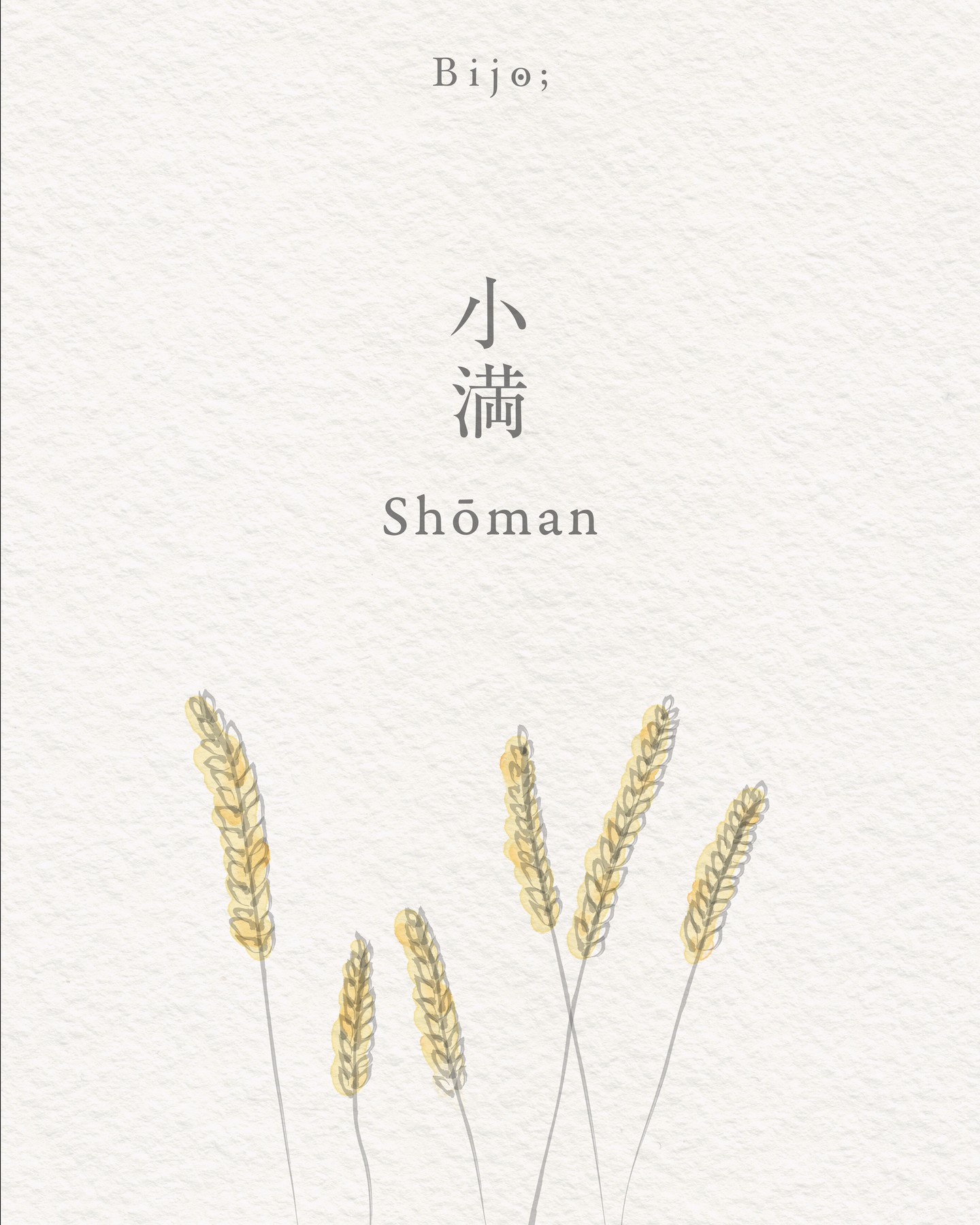 Shōman 小満
Les plantes se remplissent — 21 mai
Dans le calendrier traditionnel japonais, Shōman marque un moment de croissance visible. La nature gagne en densité, les plantes se déploient, les formes se précisent.
Ce qui a germé au printemps prend maintenant de l’ampleur. Les tiges s’allongent, les feuillages se remplissent, les champs et les jardins deviennent plus généreux.
La croissance est là, mais elle n’a pas encore atteint son plein accomplissement.
L’énergie de la saison continue de monter, mais avec une douceur plus posée. Rien n’est encore tout à fait mûr, tout est en devenir. C’est un temps d’abondance naissante.
Shōman se déploie en trois micro-saisons, les kō, chacune révélant un mouvement discret mais essentiel :
– Kaiko okite kuwa wo hamu
Les vers à soie se réveillent et mangent les feuilles de mûrier
21–25 mai
– Benibana sakau
Les carthames fleurissent
26–30 mai
– Mugi no toki itaru
Le blé arrive à maturité
31 mai–5 juin
C’est un temps de croissance et de maturation.
Shōman nous invite à observer ce qui se remplit lentement, et à faire confiance aux formes encore inachevées.