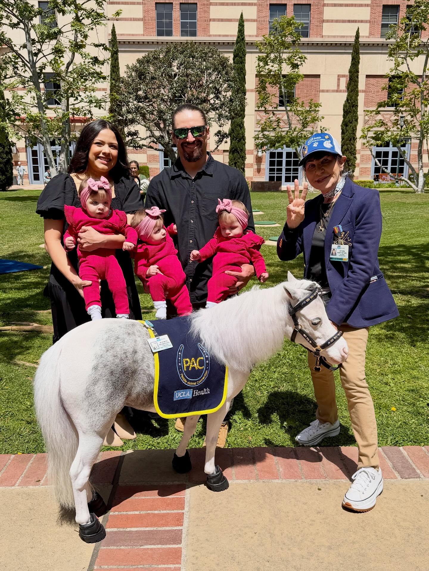 What a surprise to meet 2 SETS of IDENTICAL TRIPLETS from 2 families! Lots of great visits with patients and staff at UCLA Santa Monica Medical Center. @ucla_pac #minitherapyhorses #equine #destress #happiness #community #hospital #compassion #kindness #hope #healing #comfort