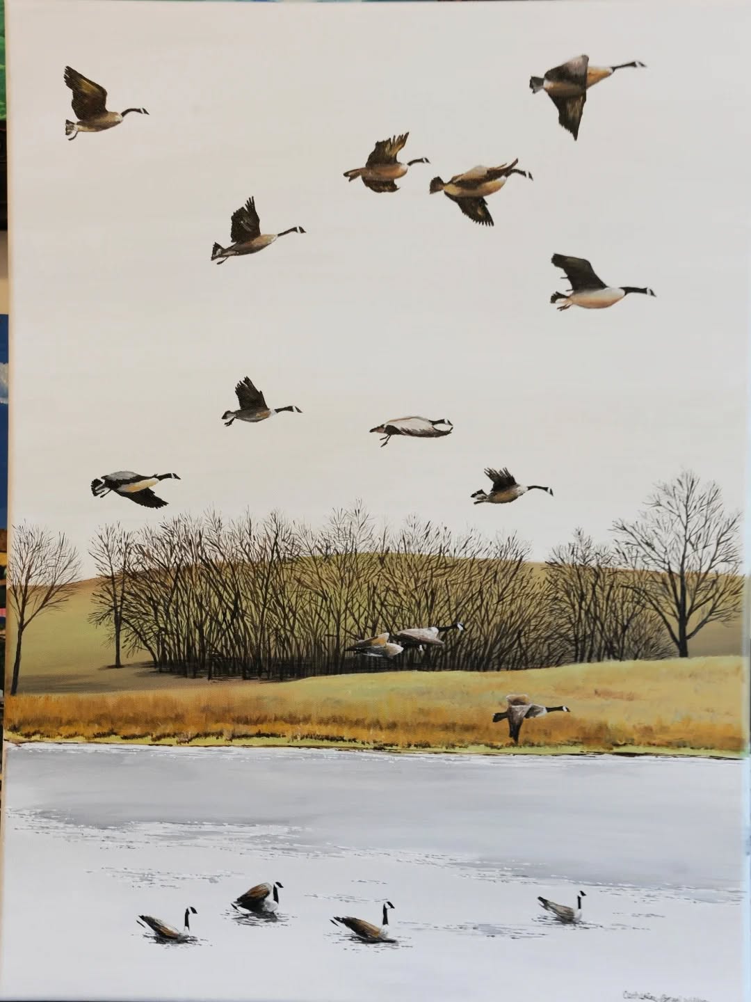 This 18x24 Acrylic Painting is full of movement. There's something so peaceful about watching birds fly, and these geese seem to fly off the canvas. This piece fits nicely in almost any room in a home and will be a wonderful addition to an art collection.
"Safe Landing III"
AVAILABLE
$895