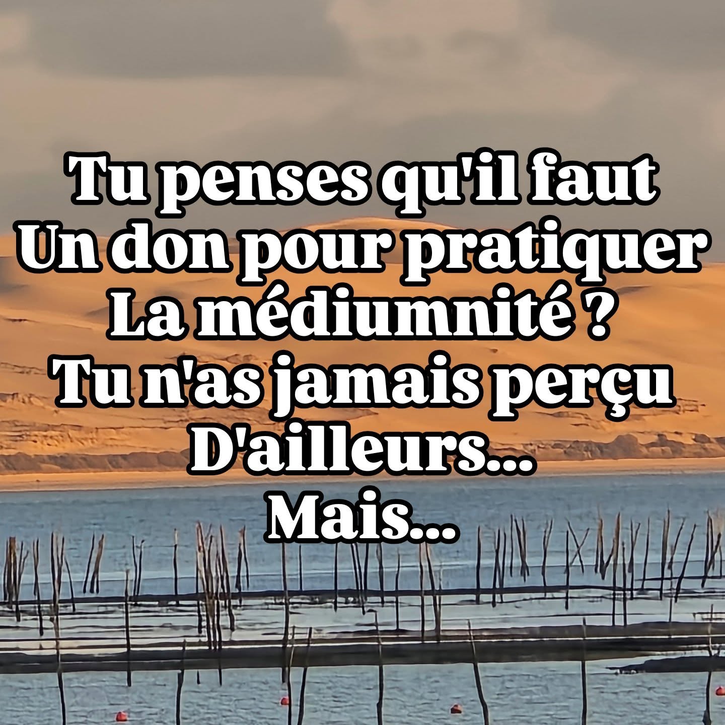 Stage débutant en visio zoom le 8 et 9 mai en petit groupe, lors d'exercices on vous donne des messages et vous vous entrainez sur vos professeurs et les autres participants. Sur ce stage exceptionnellement, les professeurs Estelle et moi même nous participons aux exercices. Ce sont 2 jours pour se transformer et récuperer ces capacités qui dorment en vous !
Lien ci dessous pour s'inscrire 👇