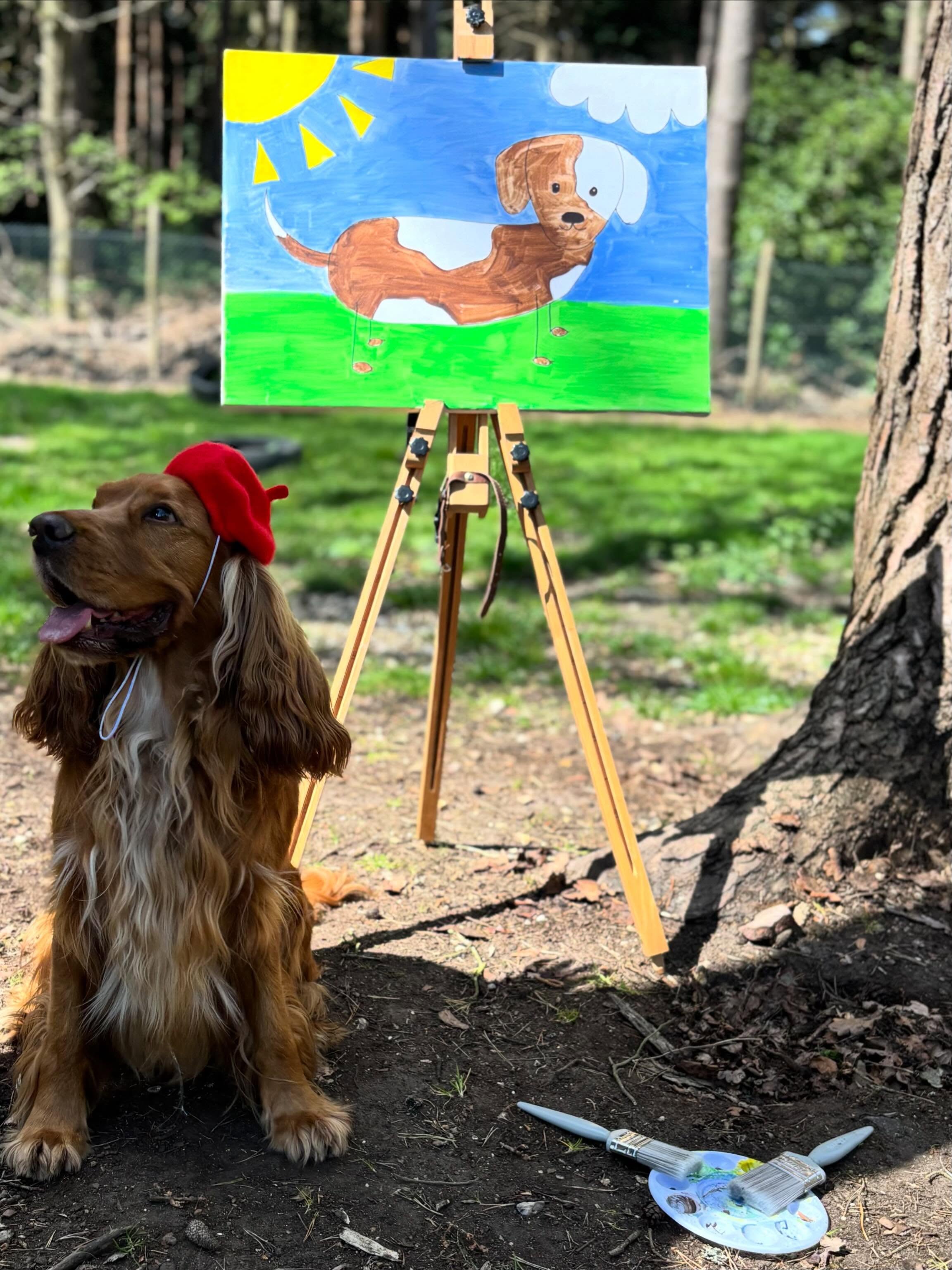 Art Studio Pups 🎨
A creative week full of enrichment, exploration, and colourful fun as our dogs got involved in activities designed to stimulate their minds and encourage curiosity.