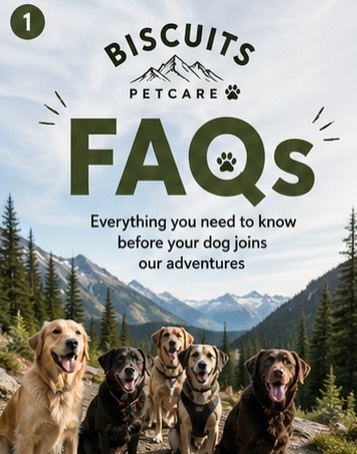 🐾 Got questions about group hikes? We’ve got you.
We know trusting someone with your dog is a big deal—so transparency is everything to us. From how we structure our groups to the safety measures we have in place, it’s all designed to give your dog the best (and safest) experience possible.
Small groups, GPS tracking, seatbelt-secured transport, and a strong focus on calm, well-matched packs… it’s not just a hike, it’s structured adventure with purpose.
If you’ve been on the fence about group hikes, this is your sign to take a look 👉
And if you’re still unsure, my DMs are always open 💬
🐶 Serving Whistler & surrounding areas since 2020
#whistlerdogs #whistlerdogwalker #seatoskydogs #dogsofwhistler #petcarewhistler doghikes offleashadventures dogwalkinglife adventuredogs fearfreedogs dogsofbritishcolumbia