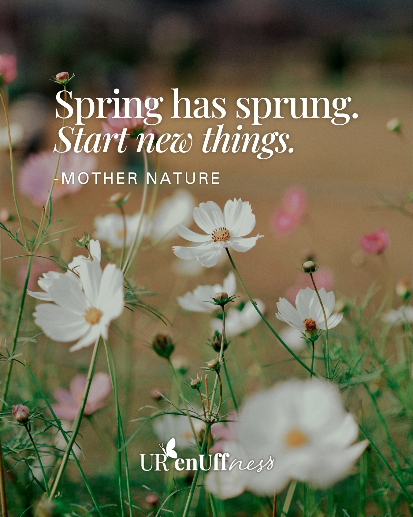 Spring has sprung. Start new things." -Mother Nature 🌸
And we're taking the hint. 🌿 Join us tomorrow morning (Tuesdays) for a complimentary FreeFlow class at 9am CT — no cost, no commitment, just you and some feel-good movement.
Tap the link to join 👇
urenuffness.com
#YouAreEnough #FreeFlow #SpringReset #FreeClass #MoveFreely #WellnessForAll #urenuffness