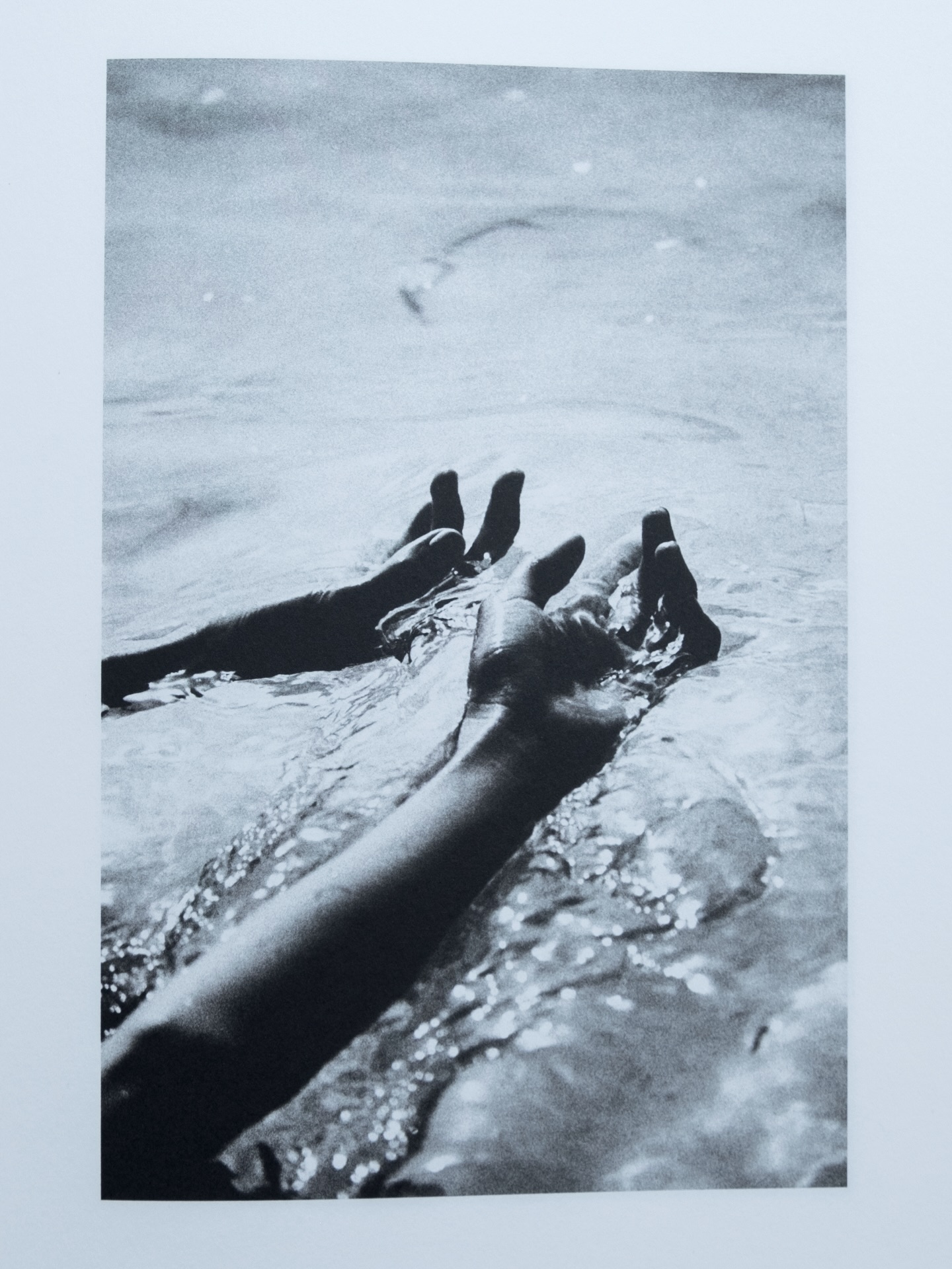from ‘Totem’ book @equator