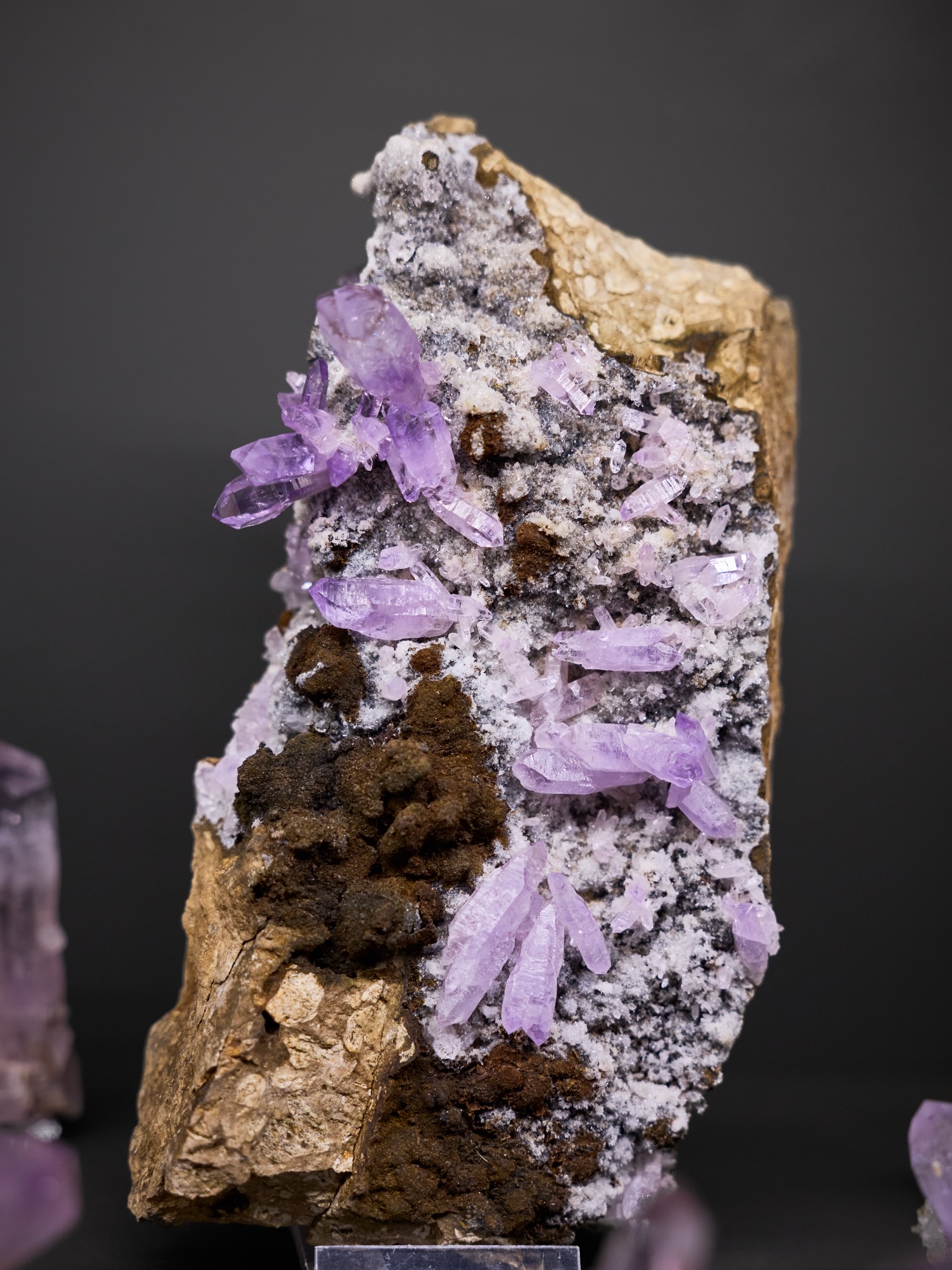 MINERAL MONDAY ✦ AMETHYST (MEXICO)
This week, we’re going back to one of the most loved minerals - Amethyst. But not just any kind.
These crystals come from Veracruz, Mexico and they have a very distinct character. Unlike the deep, dark purple tones you often see, Mexican Amethyst is usually lighter, more delicate - almost pastel.
The crystals tend to grow long, slender, and elegant, often forming small clusters that look almost weightless.
That soft violet shade feels especially fitting right now -
somewhere between the last quiet tones of winter and the first hints of spring.
What makes them special is not intensity, but subtlety.
They don’t try to stand out loudly - they draw you in quietly.
A different kind of beauty.
Light, calm, and full of detail.
📍 Discover pieces like this in our Mineral Museum
#mineralmonday #mineralmoments #mineralienhotel #minerals #amethyst #veracruzamethyst #mineralmuseum #crystalsofinstagram #crystallovers #purplecrystals