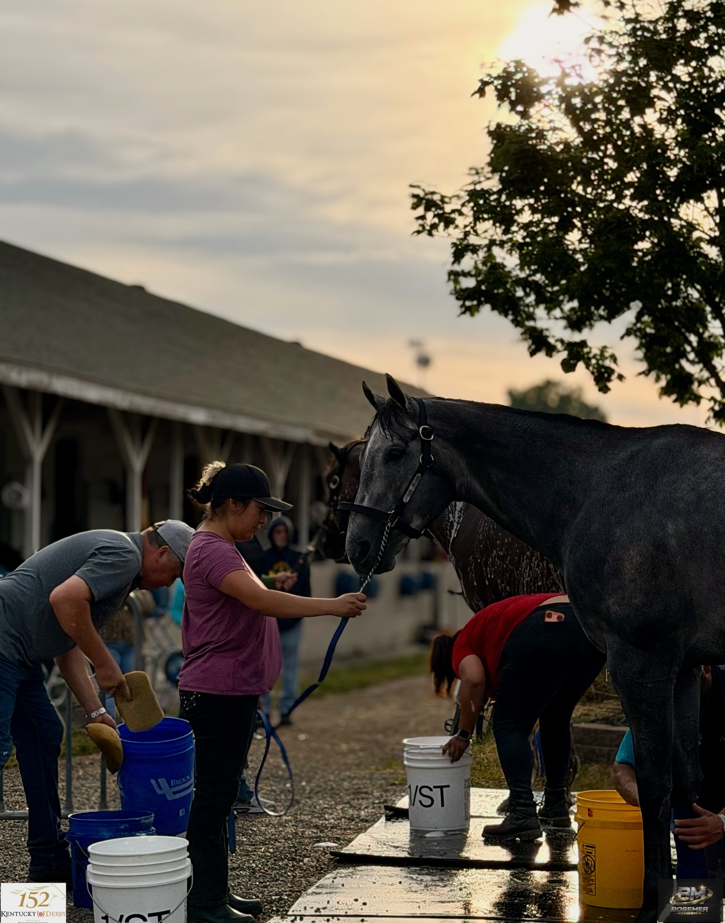 Here’s four of the 54 photos I was able to capture today while backside this am at @churchilldowns kicking off Derby Week.
All photos ⬇️ listed at link in website & comments section.
🎵 @gudgroove
@kentuckyderby x @derbymuseum
🌹 🐎 #gobabygo