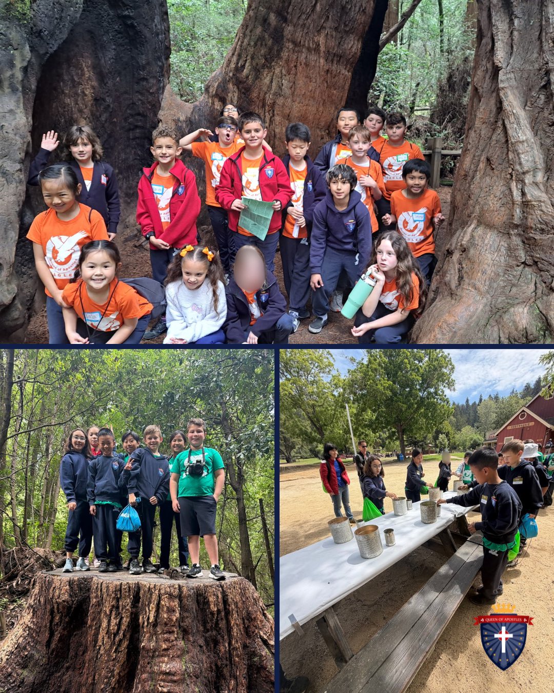 Our 3rd & 4th grade students had an unforgettable field trip to Roaring Camp Railroad! 🚂🌲 They spent the day riding through the redwoods, learning about California history, and panning for gold. Safe to say-they had a great day!
#QofA #NeverGiveUp #dsjcatholicschools #fieldtrip