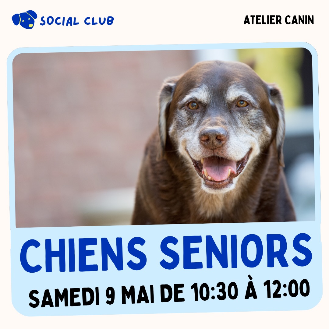 Comment préserver la mobilité et santé de mon chien quand il commence à vieillir ?
On vous invite chez Woofy pour un atelier gratuit ce samedi 9 mai à 10:30, donné par @osteoanimalcare_ch!
Autour d’un café offert, on vous apprendra comment le corps et les besoins de votre chien évoluent avec le temps, et les mesures préventives à mettre en place.
La prévention commence dès l’âge adulte! Des petits changements peuvent faire une grosse différence pour la longévité de votre loulou 🤍
Inscrivez-vous sur le lien en bio!