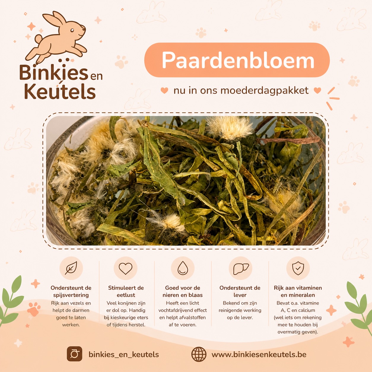 🌼 Paardenbloem – een echte favoriet bij konijnen! 🐰💛
Wist je dat paardenbloem niet alleen superlekker is, maar ook heel wat voordelen heeft voor je konijn?
Het ondersteunt de spijsvertering, stimuleert de eetlust en helpt het lichaam op een natuurlijke manier te reinigen 🌿
✨ En goed nieuws…
Paardenbloem zit nu ook in ons moederdagpakket!
Een box boordevol lekkers om jouw konijn (en konijnenmama 😉) extra te verwennen 💝
👉 Perfect als cadeautje of gewoon om je fluffy vriendje eens extra in de watten te leggen
🛒 Shop via www.binkiesenkeutels.be
📦 Zolang de voorraad strekt!
#binkiesenkeutels #konijnen #konijnensnack #paardenbloem #konijnenliefde 🐇💛