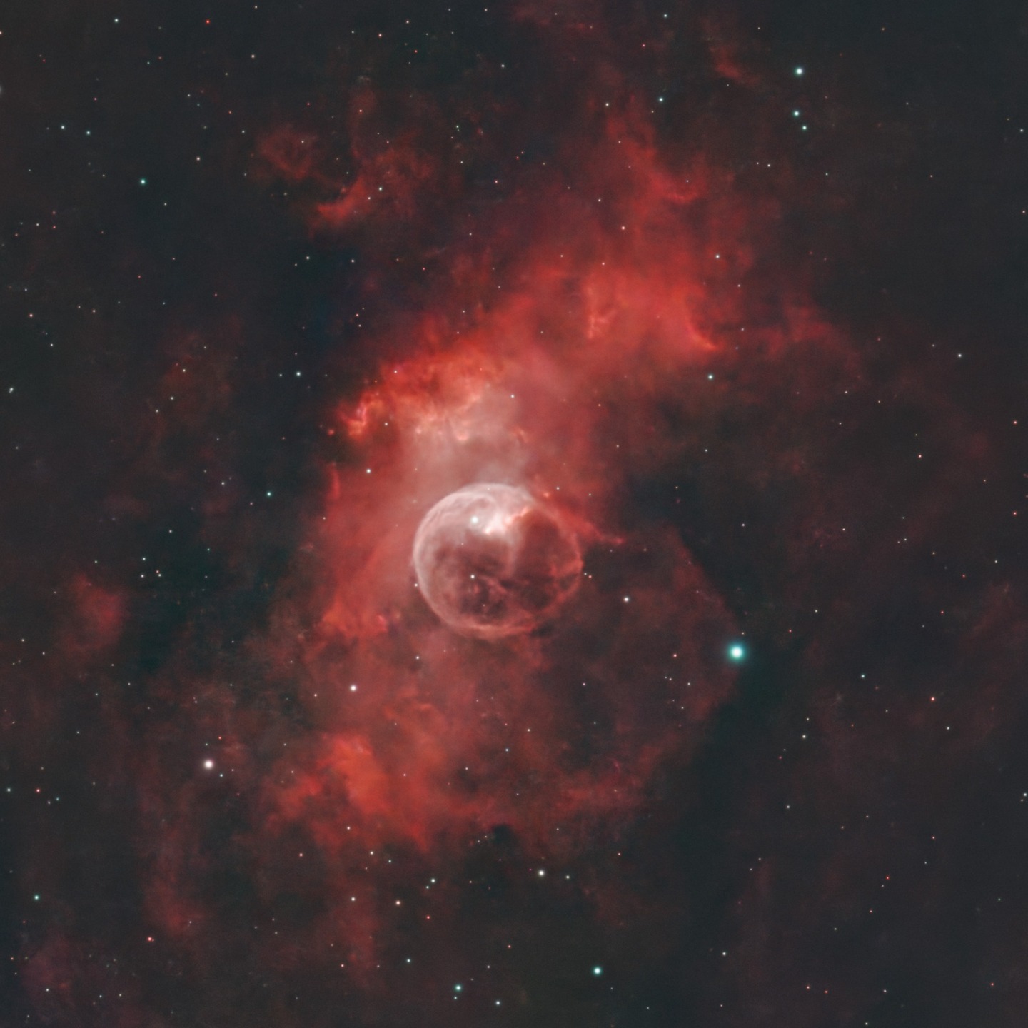 NGC 7635 (Bubble Nebula) is just appearing as a target from behind the trees in the back garden so hope I can build up some more data over the coming days... This is a result of a couple of hours last night.
The "bubble" is actually a shell of dust and gas being blown outwards by massive star that might be 10 - 40 times the size of our own Sun and is about 7 light years across.
#astrophotography