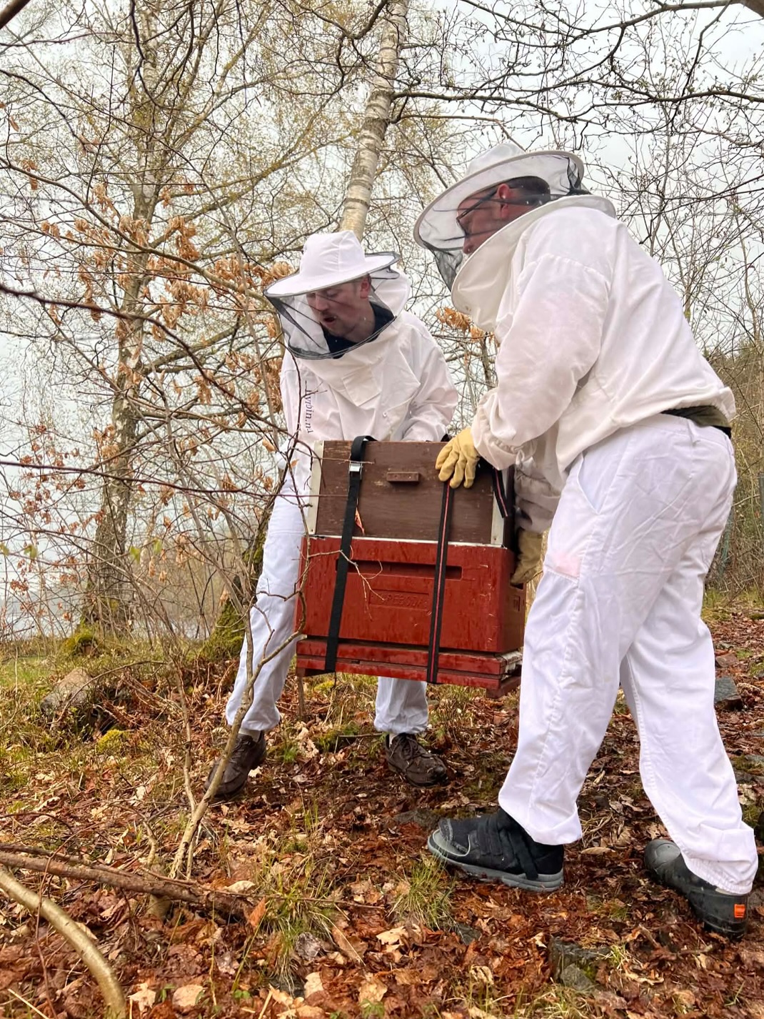 Hållbarhet, hantverk och smak i sin renaste form🐝
Tillsammans med @appelangensbigard tar vi nästa steg mot en hållbar och närproducerad matupplevelse. Vår alldeles egna honung- från blomning till servering på Hällsnäs🌱