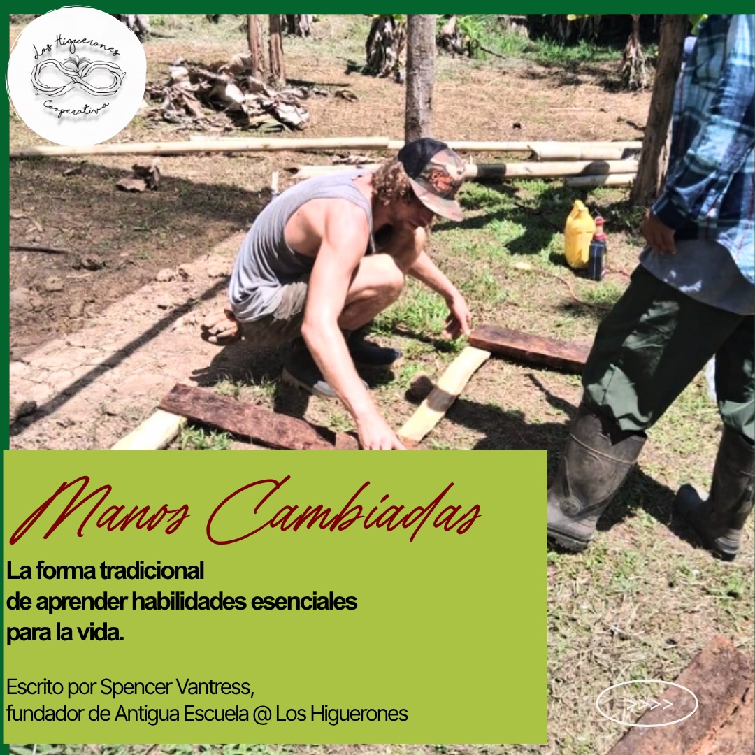 Inglés 👇«Manos Cambiadas».. en el que un grupo de personas elegidas al azar se desplaza a una finca para ayudar al agricultor, no es un proyecto que hayamos iniciado nosotros. Se trata de una tradición local que promovemos y preservamos para recordar a las generaciones actuales y futuras que forman parte de la comunidad de Osa y que esta comunidad necesita su ayuda. Es más que salir a trabajar: es una forma de aprender habilidades prácticas para la vida, conocer a gente nueva y forjar relaciones.
Escribe «MANOS» para recibir el calendario en tu bandeja de entrada
Manos Cambiadas, in which a group of random people go out to a farm to help the farmer, is not a project that we started. It is a local tradition that we promote and preserve to remind current and upcoming generations that they are part of the osa community and the Osa community needs their hands. It is more than going out to do the work, it is a way to learn practical life skills, meet new people, and grow relationships.
Comment ‘MANOS’ to receive the schedule in your inbox