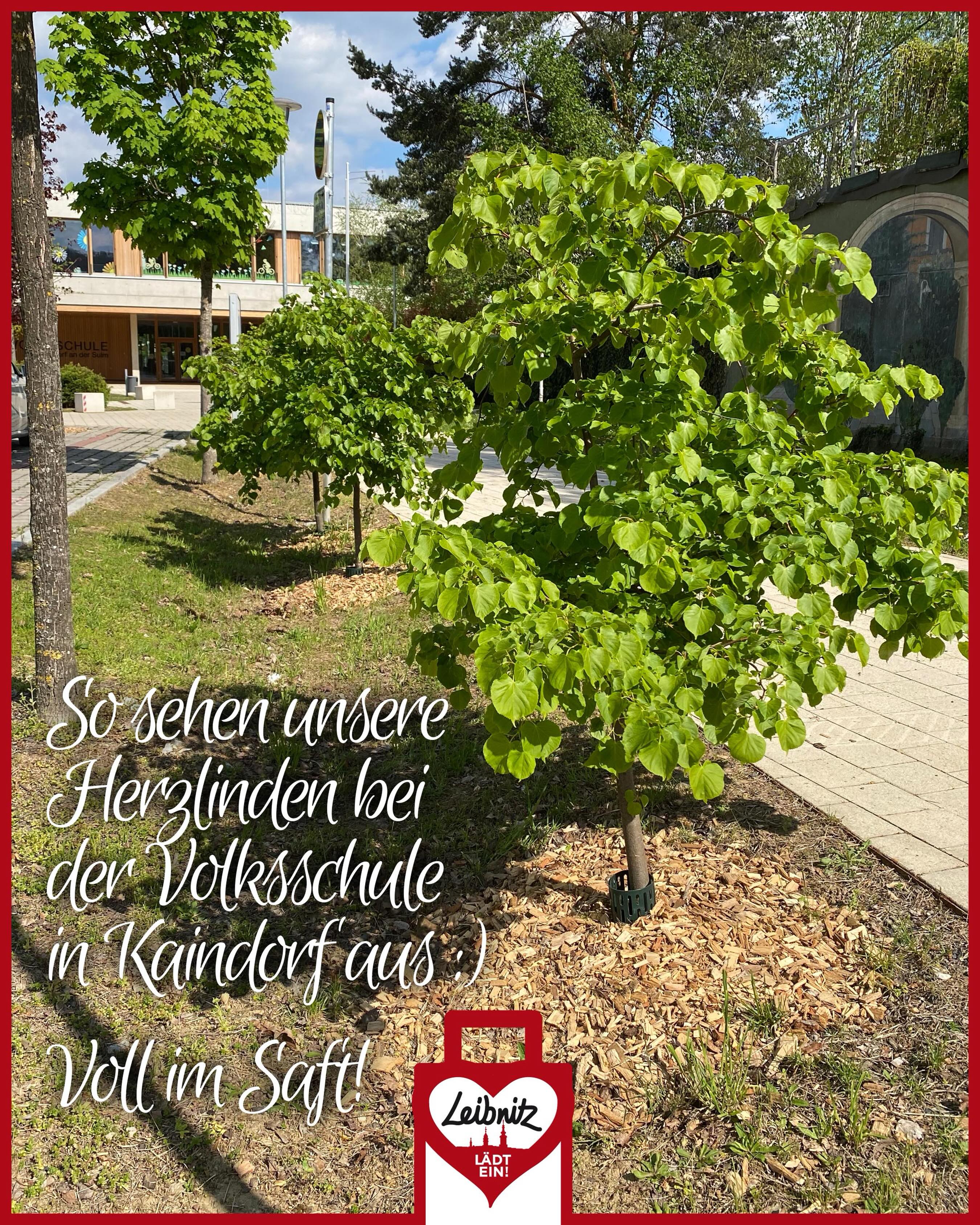 #leibnitzlädtein