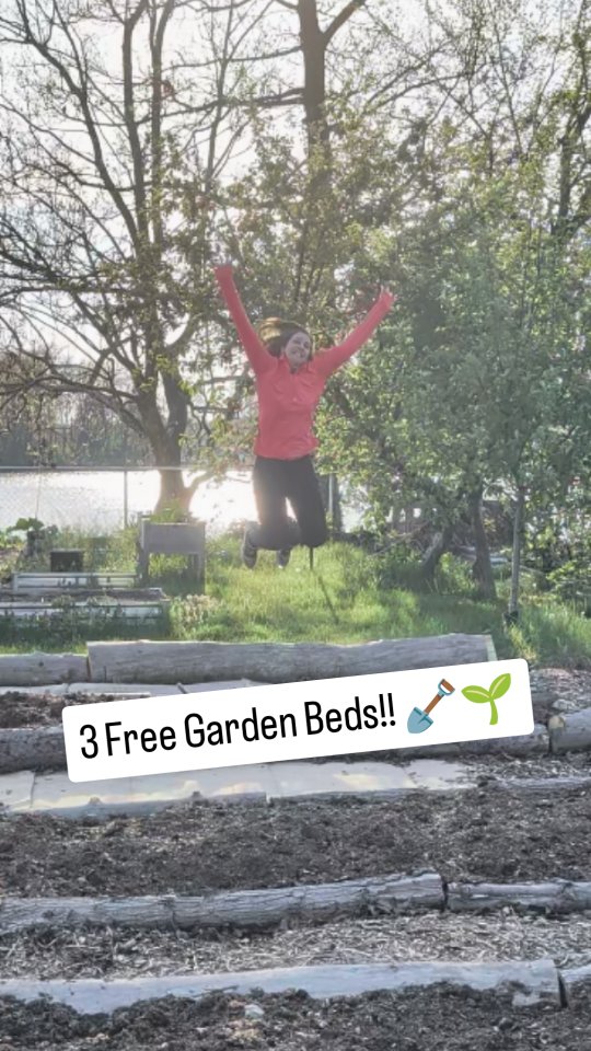 A while back on Free Friday, we scored some free logs in the neighborhood… and now they’ve turned into 3 garden beds! 🙌🌱
We love taking what’s available and turning it into something useful.
Now the big question is… what should we plant in them? 👇
Give us your best ideas!
#SimpleGroundedLife #GardenBeds #RaisedBeds #HomesteadLife