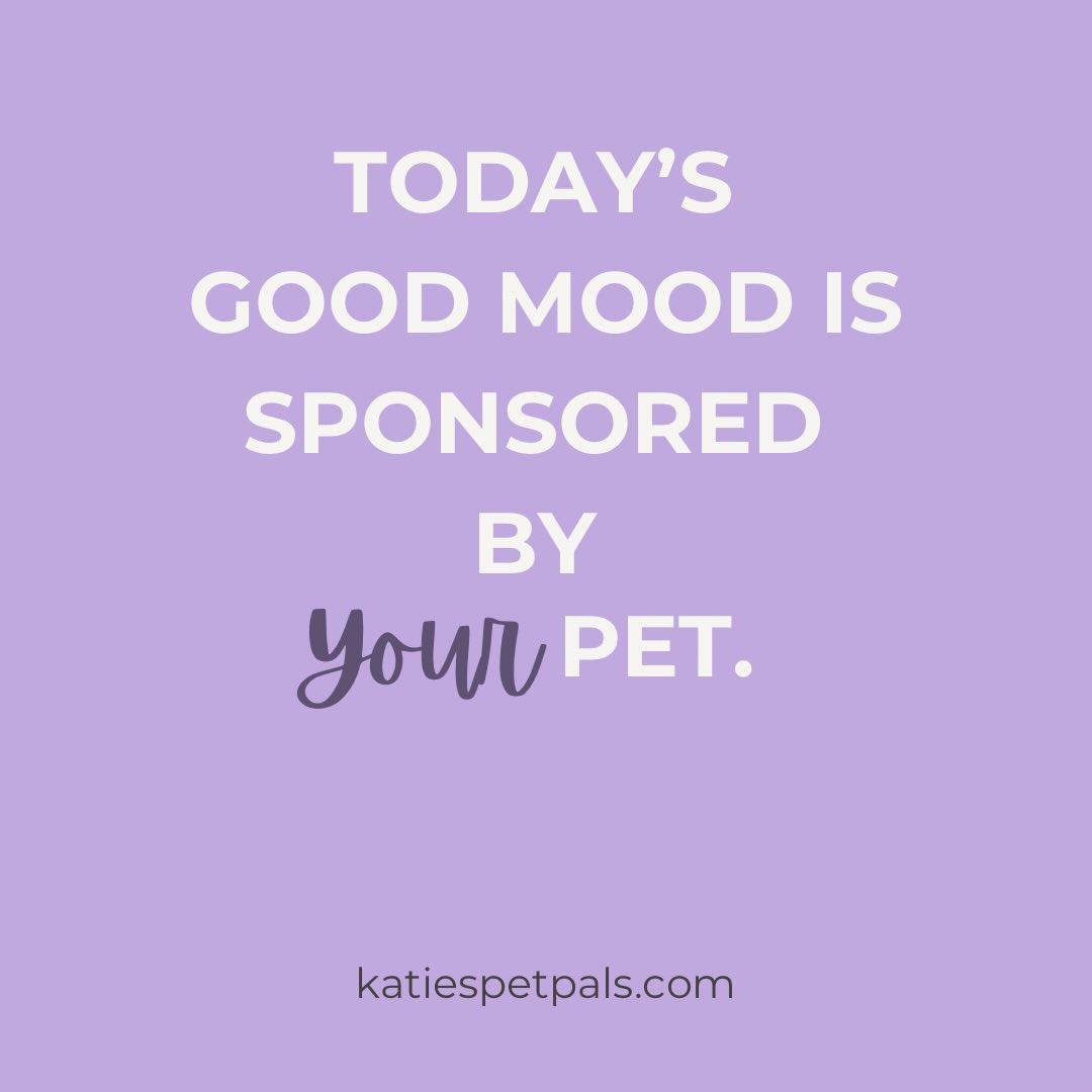 Facts. Thanks for being a Pal! 🐾
#petsarethebest #eastdallaspetsitting #catsitter #dogwalker #petvisits
katiespetpals.com