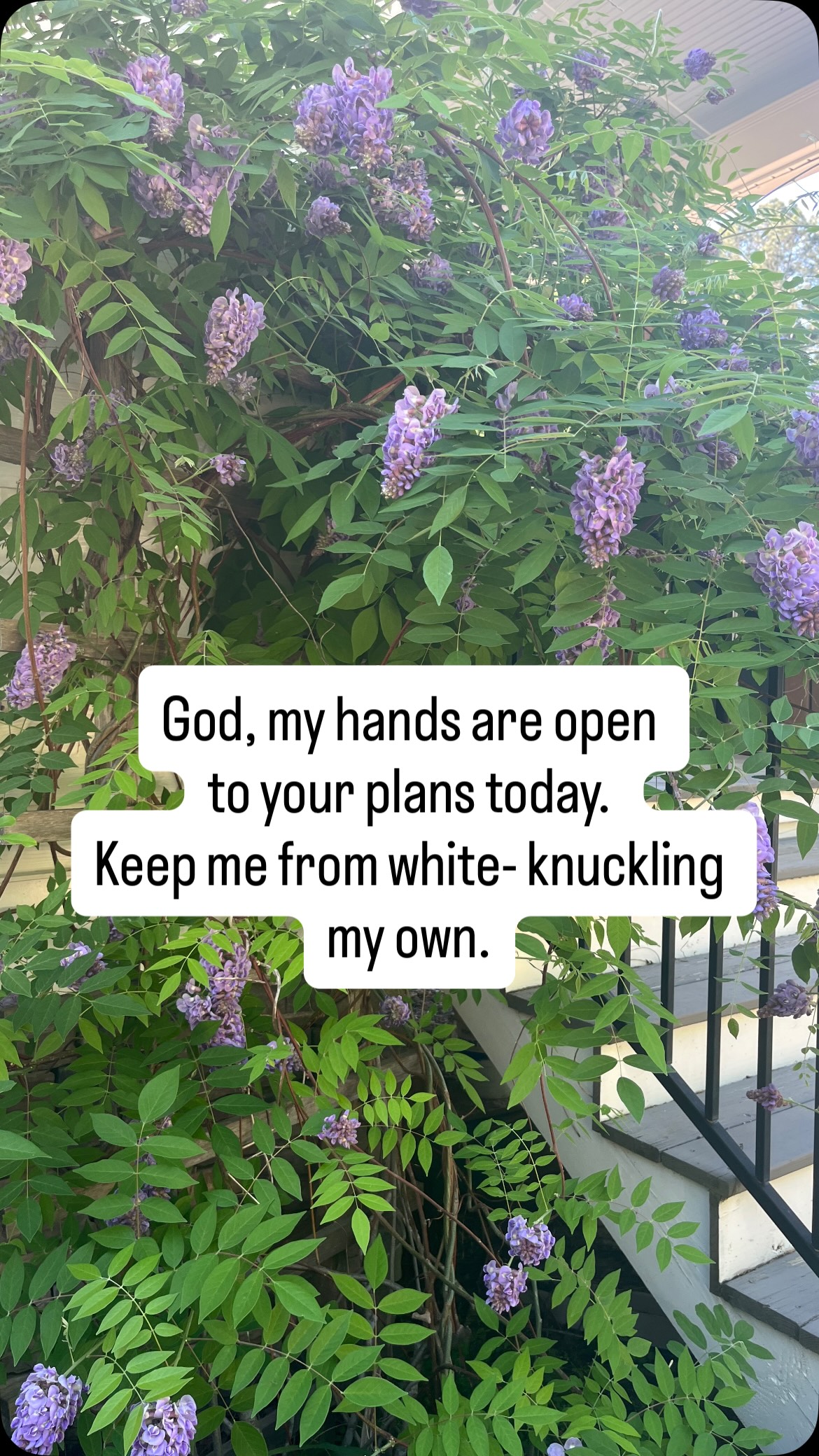 Praying this and meaning it, that’s my focus this week. Pray it with me.
In their hearts humans plan their course, but the LORD establishes their steps.
Proverbs 16:9
#mondaymotivation #prayer #posture