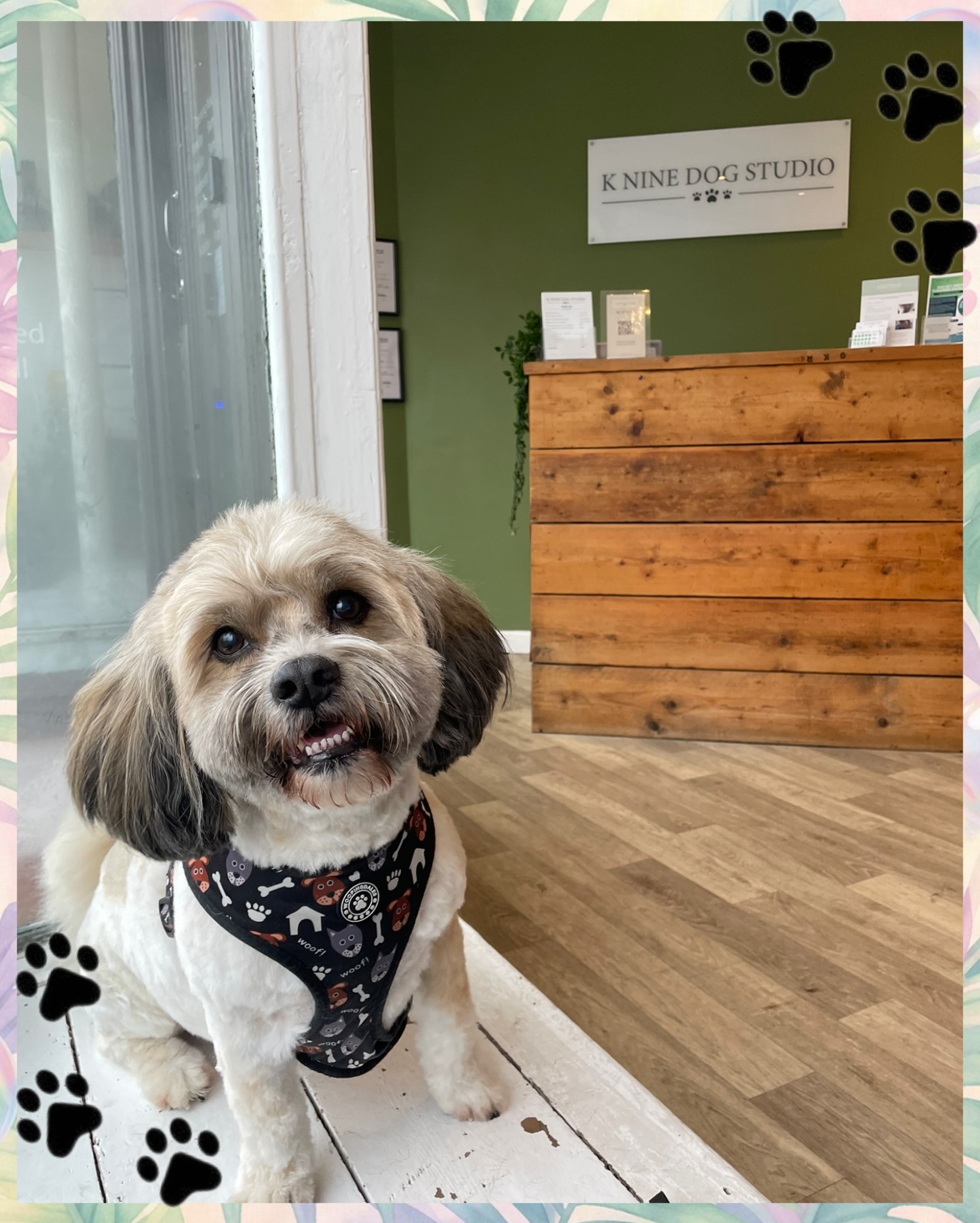 🚨 MAY AVAILABILITY UPDATE 🚨
Our May diary is filling up fast and we’re now nearly fully booked! 🐾✨
We currently have around a 3 week wait time, so if your pup is due a groom, we highly recommend getting them booked in ASAP to avoid missing out 💛
We hate turning anyone away, so secure your spot now and keep your dog looking and feeling their best 🐶✂️
📩 Drop us a message to book!
#KnineDogStudio #DogGrooming #FullyBooked #DogGroomerLife #happypups