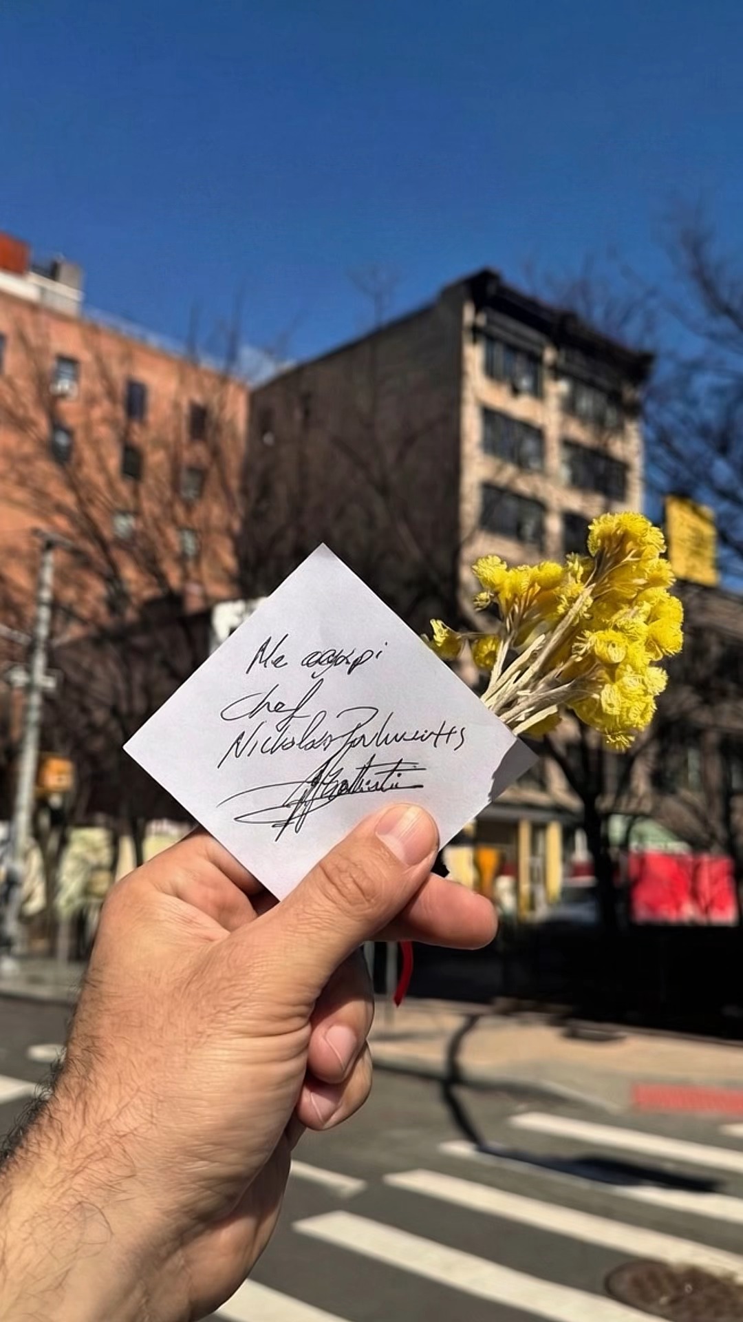 From one corner of the city to the next, Chef Nicholas is bringing something with him – me agapi, with love.
A way of cooking meant to be shared, and a spirit rooted in welcoming others in.
From Kythira to New York, it’s about creating something that extends beyond the plate.
An open invitation for the city to experience his food, his story, and the world of Kythira NP. Be first through the door. Link in bio.
#KythiraNP #SoHoEats #NYCRestaurant