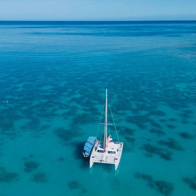 🌊 Sailing the Big Island of Hawaii by Catamaran 🌊
Discover the magic of the Big Island from the ocean. Step aboard a catamaran and experience crystal-clear waters, vibrant marine life, and unforgettable views. Whether you’re snorkeling among tropical fish or simply relaxing as the sun sets over the horizon, every moment feels like paradise.
Choose from private charters for an exclusive escape or join a group tour to share the adventure. Perfect for couples, families, or friends looking to create lasting memories on the water.
✨ Snorkeling tours
🌅 Sunset cruises
🚤 Private & group departures
Your ocean adventure awaits.
🌊 Navegando la Isla Grande de Hawaii en catamarán 🌊
Descubre la magia de la Isla Grande de Hawaii desde el mar. Sube a bordo de un catamarán y disfruta de aguas cristalinas, vida marina vibrante y vistas inolvidables. Ya sea haciendo snorkeling entre peces tropicales o relajándote mientras el sol se oculta en el horizonte, cada momento se siente como un paraíso.
Elige entre salidas privadas para una experiencia exclusiva o tours grupales para compartir la aventura. Perfecto para parejas, familias o amigos que buscan crear recuerdos inolvidables en el océano.
✨ Tours de snorkeling
🌅 Paseos al atardecer
🚤 Salidas privadas y grupales
Tu aventura en el océano te espera.
#foratraveladvisor #traveladvisor #travelagency #hawaii #luxurytravel