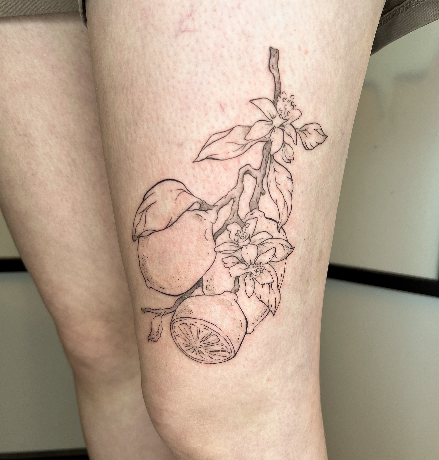 a lemon branch I forgot to post 🍋