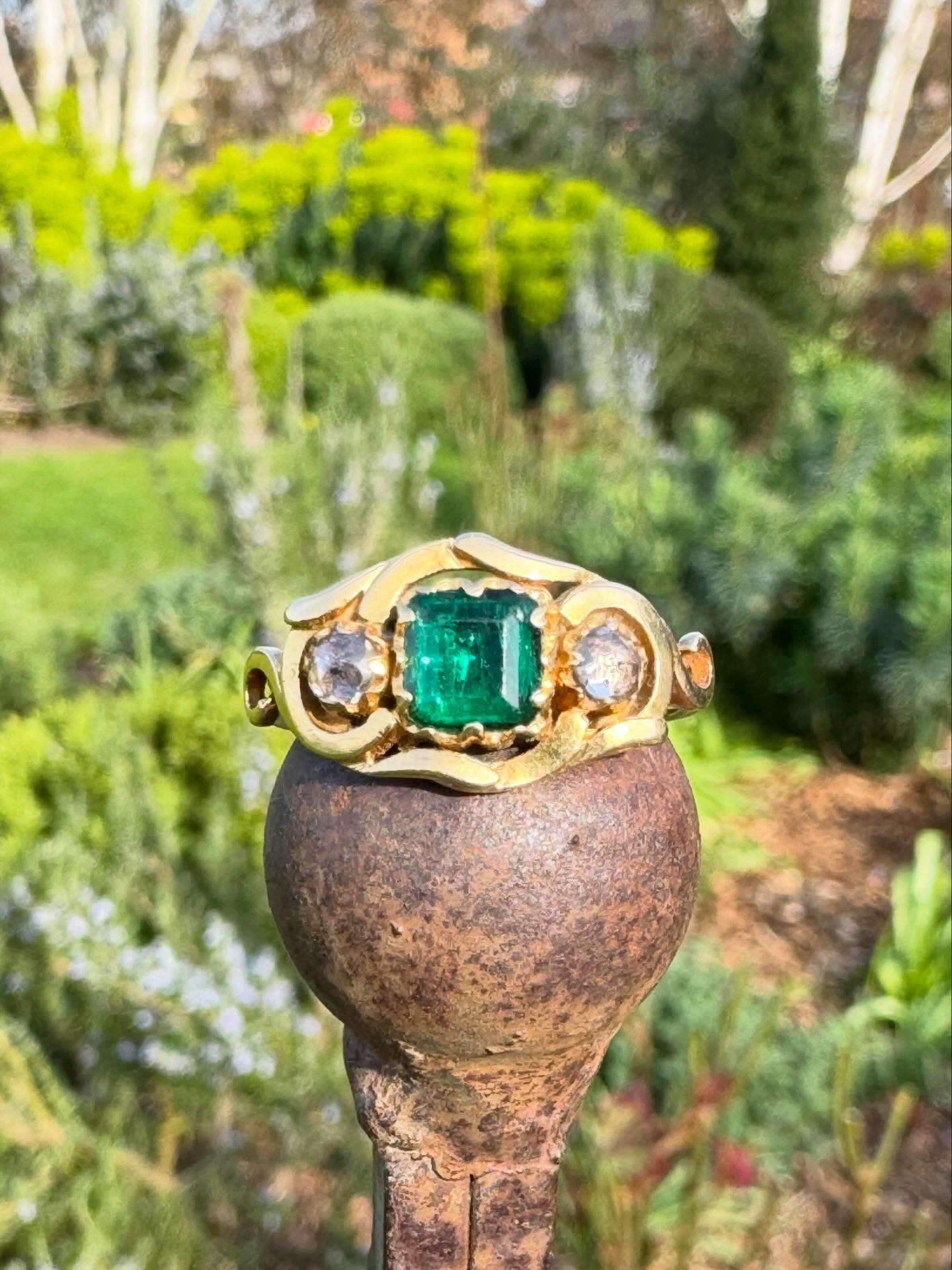 A few new old Emerald rings getting ready to join us at the fabulous @decorativefair in just over a week’s time.
All of these beautiful rings are new to us but date from the Georgian period through to the Art Deco era.
Which is your favourite??
#newarrivals #emerald #antiquejewelryaddiction #antiquejewelry #emeraldring