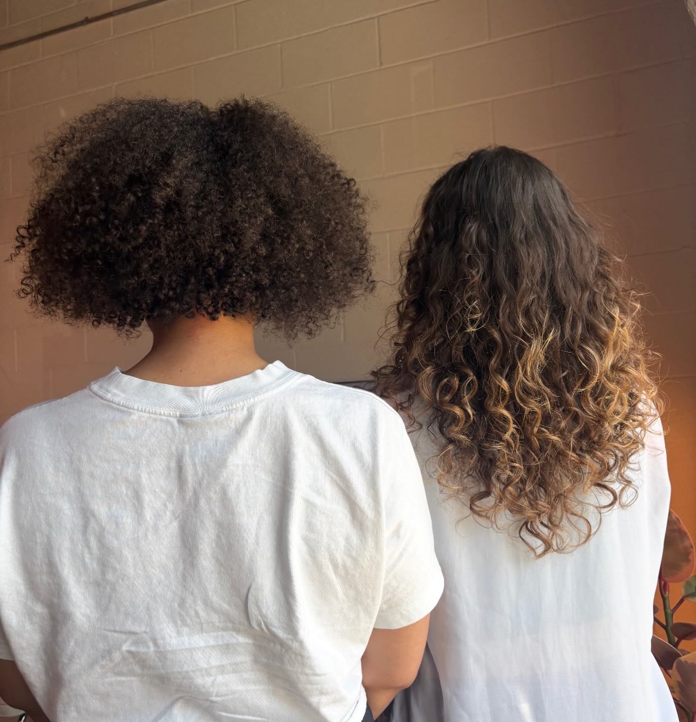 Hair by Robyn
- to schedule your next appointment visit @therootedchair
.
.
.
:
:
#madisonsalon
#madisonwi
#madisonhairstylist
#madisonhaircollective
#curlyhairsalonmadisonwi