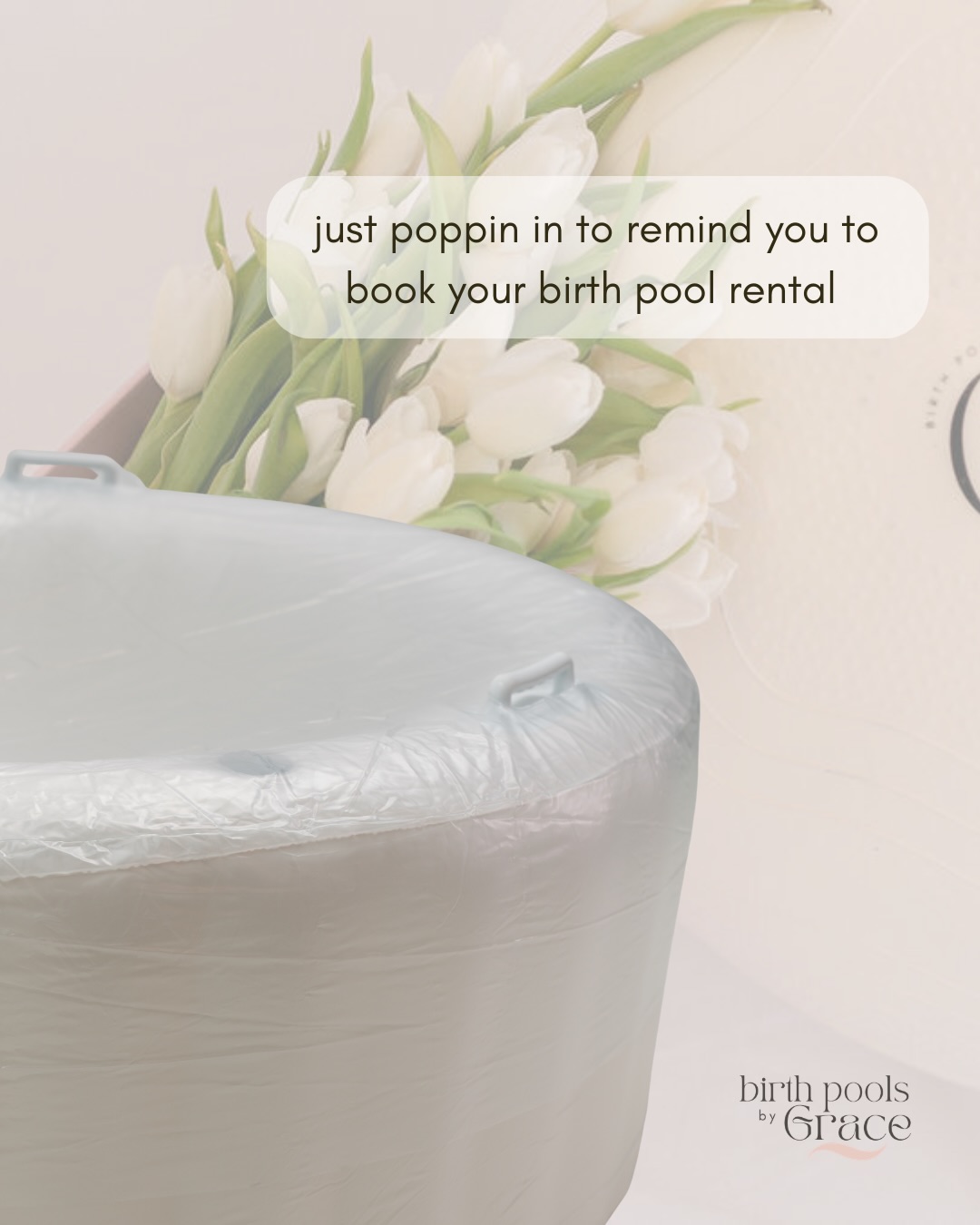 Just poppin’ in with a gentle little reminder
If a calm, supported, in your own space kind of birth is on your vision board… this is your sign to book the pool 🤍
Our summer girlies are already locking things in (june is almost full 👀), and we would hate for you to miss out on the support you deserve
Secure your rental, take one thing off your mental load, and let your body do its thing ✨
link in bio to book