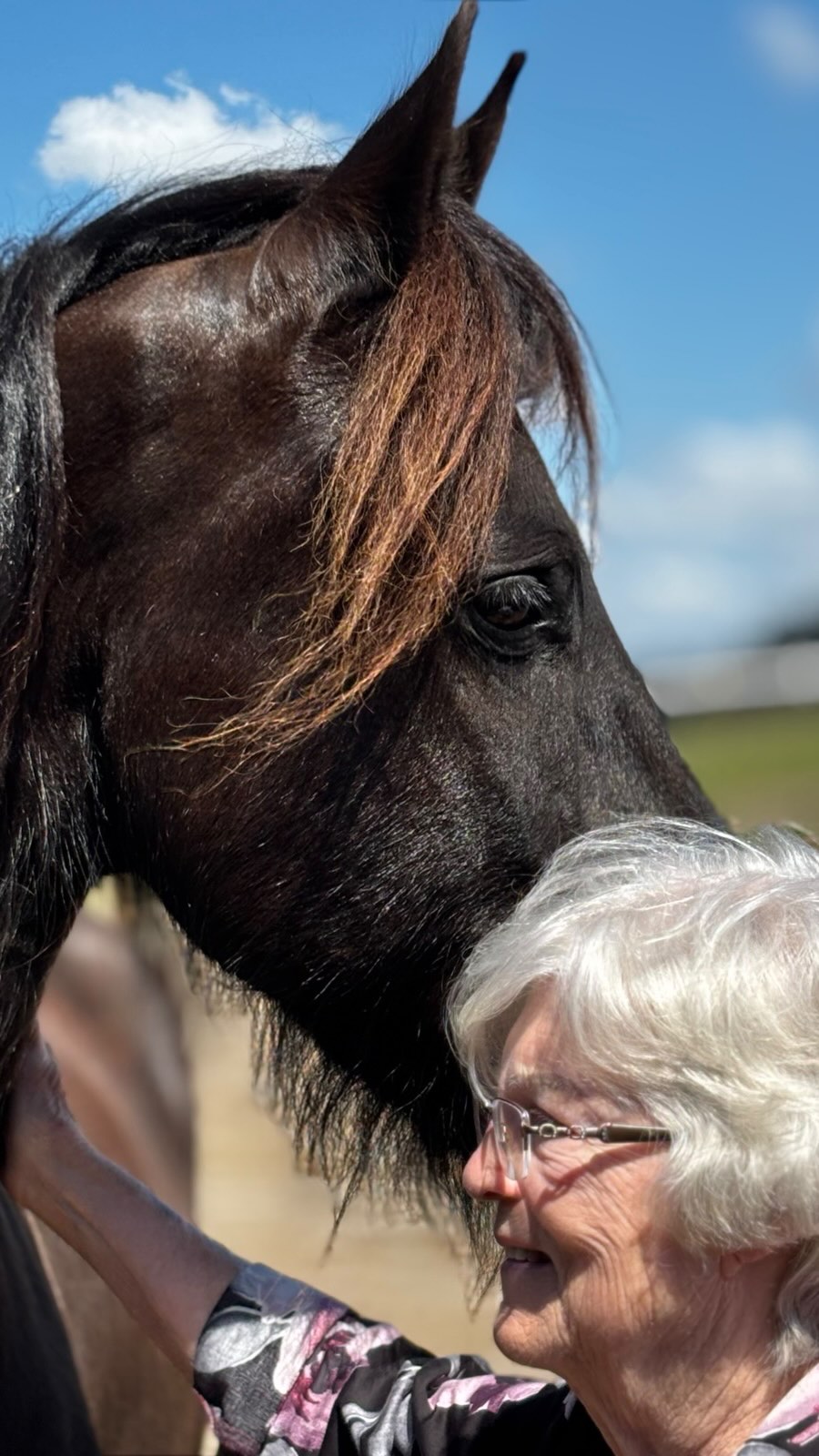 There’s a pattern we can’t ignore…
The people who come to Rancho Reposo carry something truly special.
Presence. Depth. Heart.
Every story you share becomes part of this place.
Every connection leaves a mark.
We’re grateful for each one of you.
Bless you… and until we meet again.
#ranchoreposo #healing #friesanhorses #thingstodoinocala #experience