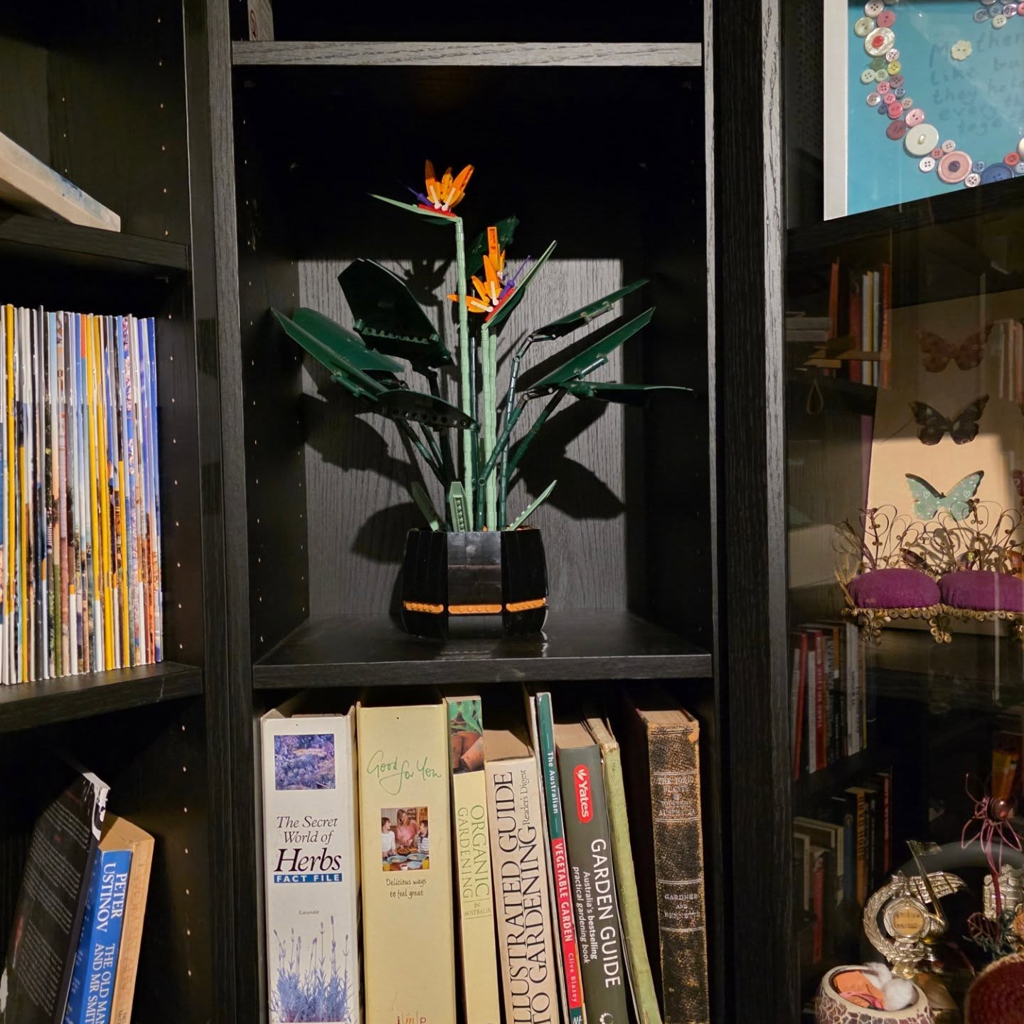 I put my lego plant over my gardening books. I find that humerous.