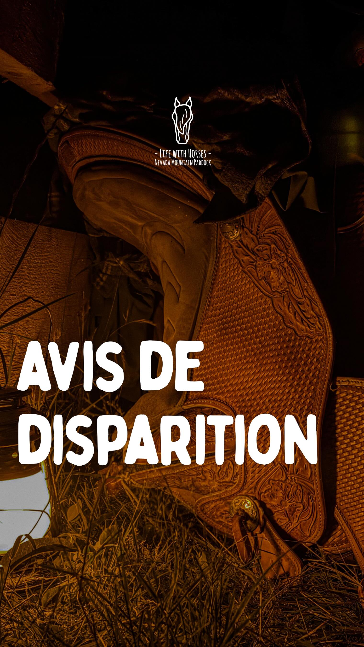 Envoie ça à un pote pour qu’il sache où te retrouver 🌍
Parce que le Voyage Immersif, c’est toi qui décides quand tu pars. On ne t’ajoute pas à un groupe d’inconnus, on organise un séjour exclusivement pour toi et tes proches, toute l’année.
Une expérience unique de reconnexion avec la Nature, au rythme des Chevaux.
🇦🇩 Envia això a un amic perquè sàpiga on trobar-te 🌍
Perquè el Viatge Immersiu, ets tu qui decideix quan marxes. No t’afegim a cap grup d’estranys, organitzem una estada exclusivament per a tu i els teus propers, durant tot l’any.
Una experiència única de reconnexió amb la Natura, al ritme dels Cavalls.
🇬🇧 Send this to a friend so they know where to find you 🌍
Because the Immersive Journey is yours to choose when you leave. We don’t add you to a group of strangers, we create a stay exclusively for you and the people you choose, all year round.
A unique experience to reconnect with Nature, at the rhythm of Horses.
#cerdanya #ridewithconnection #equestrianjourney #horselife #evasion