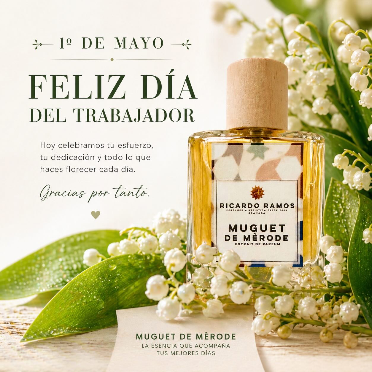 Feliz primero de mayo!
Hoy es el día del año para transmitir los mejores deseos con Muguet de Merode y un “brin de muguet” ❤️
#primerodemayo #brindemuguet #ricardoramosperfumesdeautor #muguetdemerode