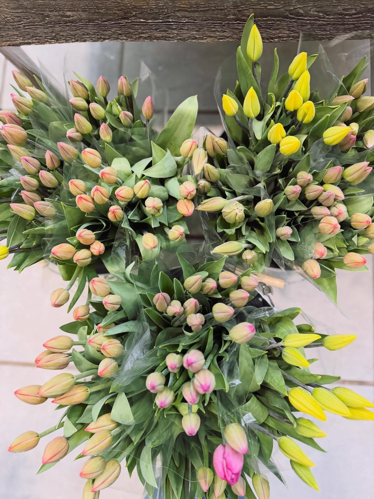 The most stunning florals have landed — and more are arriving daily 🌸
A gorgeous, oversized local tulip shipment is in (the last of the season!) along with spring favourites: ranunculus, coral peonies, lush green amaranthus, and roses galore.
We’re ready for you. Pre-order something beautiful for your mom or a special mother figure in your life — a simple way to show your appreciation 💛
Tuesday–Friday 10–5
Saturday 10–4
Stop by, call 403-789-2018, or email Dutchessflwrs@gmail.com