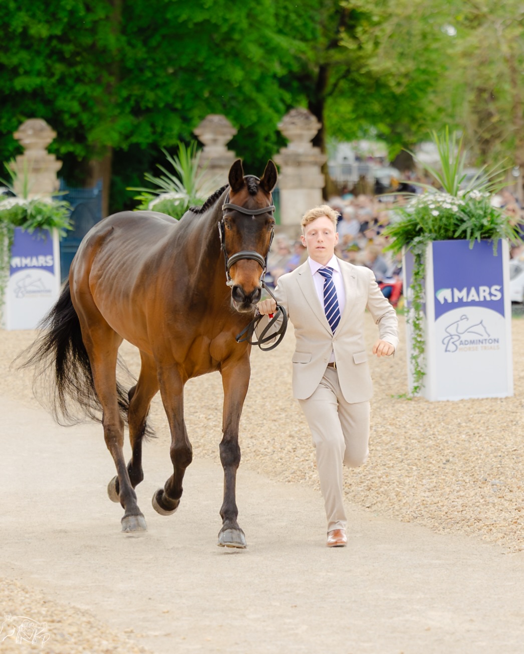 Good luck, Tom! 🍀🐺
We want to wish our brand ambassador @tom_bird_eventing_ the very best this week at the prestigious @marsequestrian @bhorsetrials! Tom is competing the lovely Cowling Hot Gossip - we can’t wait to cheer them on! 🐴
📸: @kirsty_pasto
#WolfEquestrian #BritishDesign #JoinThePack #WolfLondon #BHT26
