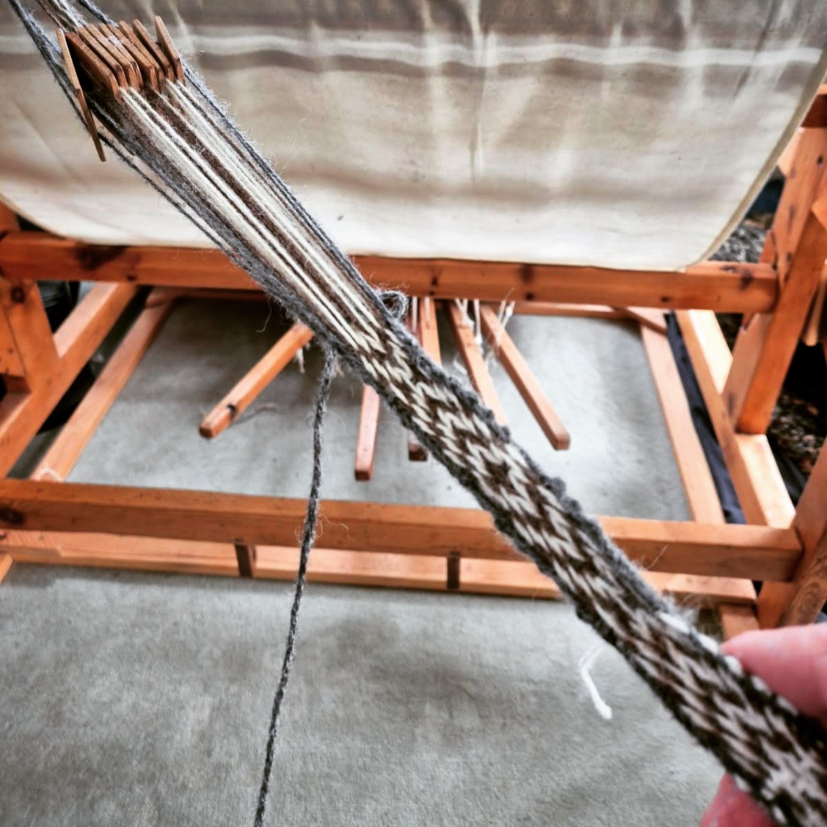 I've been learning another traditional Viking craft lately - tablet weaving! These woven bands will make ideal warp headers for my warp-weighted loom, as well as traditional trims for my vararfeldir.
The warp headers involve drawing out the weft from the tablet weave to form the warp of the cloak, making it an integral part of the cloak's weaving.
Meanwhile, woven or plaited bands have been found on vararfeldr fragments from Iceland and Estonia, suggesting that this was a decorative way to finish off the edges.
This practice piece is looking a bit rough, but I'm improving with every attempt!
#weaver #handwoven #vikingweaving #vikingcloak #vararfeldr #vikingreenactment #vikingcraft #heritagecraft #tabletweaving
