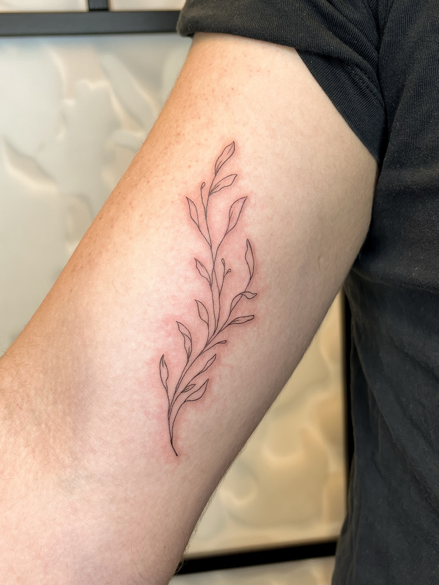 little vine from my flash :-) thank you!
.
.
#finelinetattoo #finelinetattooing #vinetattoo