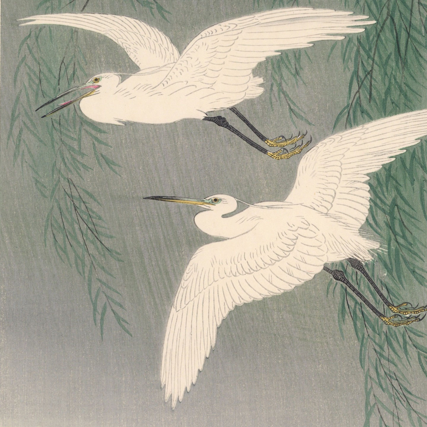 『新入荷』
小原祥邨
柳に白鷺
昭和期
Shoson Ohara
Egrets in Rain
c. 1929-1942
詳細はhttps://www.nihonlux.com/まで。
_______________
Nihonlux Ltd.
東京都渋谷区代々木5-67-1-202
email : info@nihonlux.com
#浮世絵 #ukiyoe #Shoson #小原祥邨#nihonlux