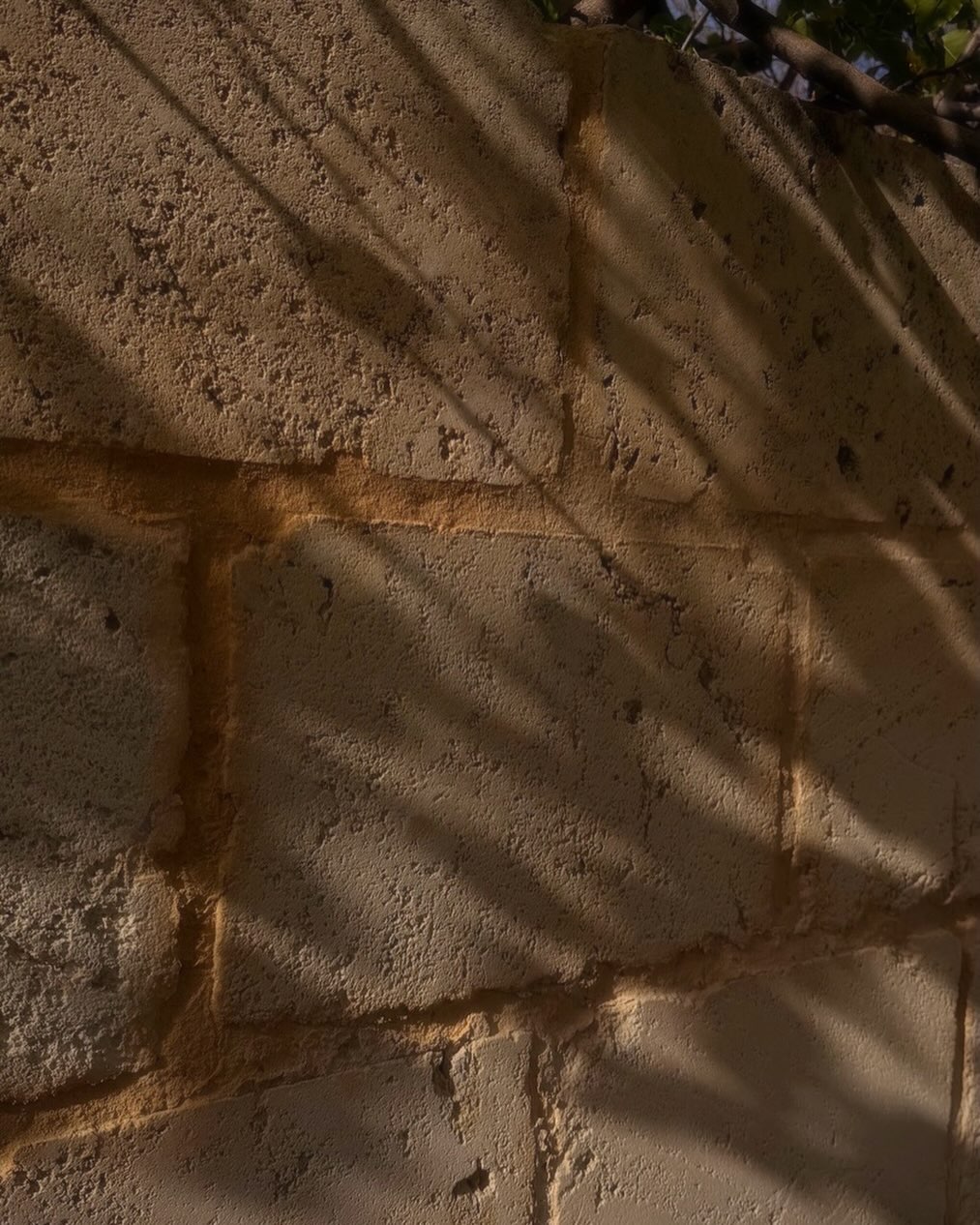 Shadows across natural stone, colours shift led and change bringing warmth and beautiful tones to any wall.
Our Cream WA Limestone Traditional Blocks and Cladding.
——
Australian Stone for Australian builds.