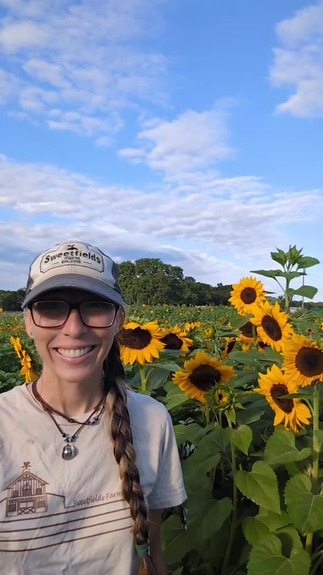 Happy Sunday morning! Can't wait to see you out on our working farm. Weather is amazing today #sweetfieldsfarm #sundayfunday #sunflowers #farm #thingstodo . Hope you get a chance to enjoy this treat of a spring day with us. We will have all the awesome activities. The sunflower maze, The u pick sunflower and veggie fields, hayrides, the cute farm animals and so many more fun things to do. This is a great day to experience our sunflower event.