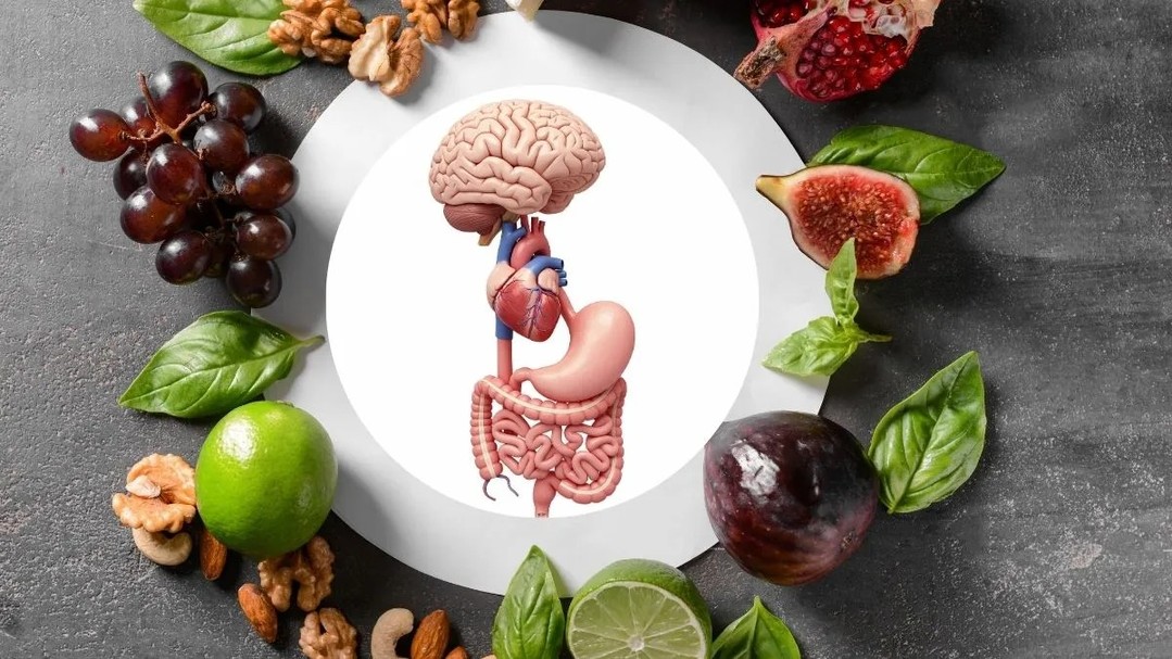 Uvas: un pequeño gran aliado para tu intestino y tu cerebro 🍇🧠✨
Descubre por qué consumirlas a diario puede mejorar tu microbiota, corazón y función cerebral. Link in Bio
#Uvas #SaludIntestinal #SaludCerebral #AlimentaciónSaludable #Bienestar #VidaSana